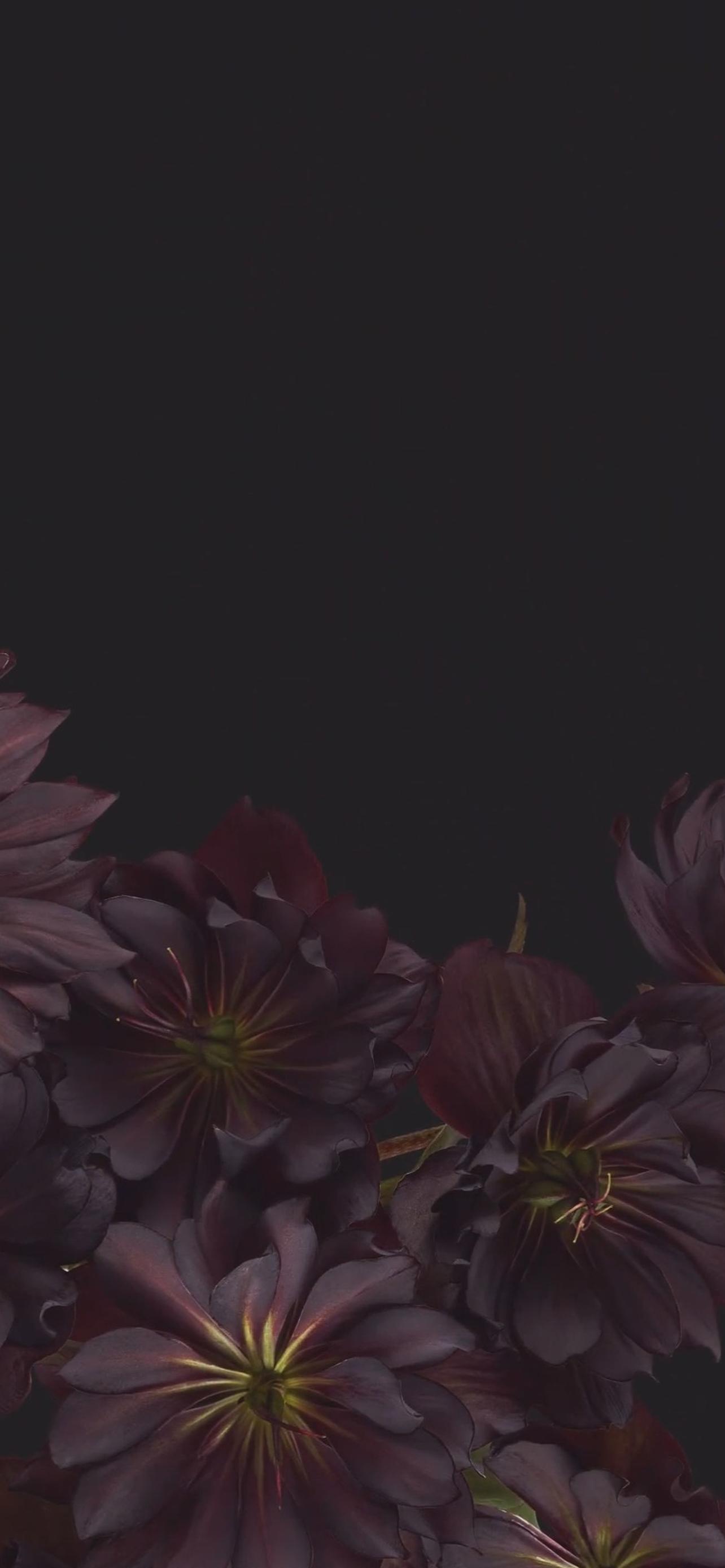 Android 12 Wallpapers Top Free Android 12 Backgrounds WallpaperAccess