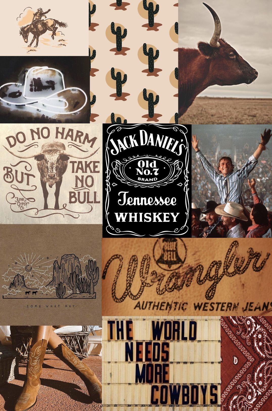 Western Asthetic Wallpapers Top Free Western Asthetic Backgrounds
