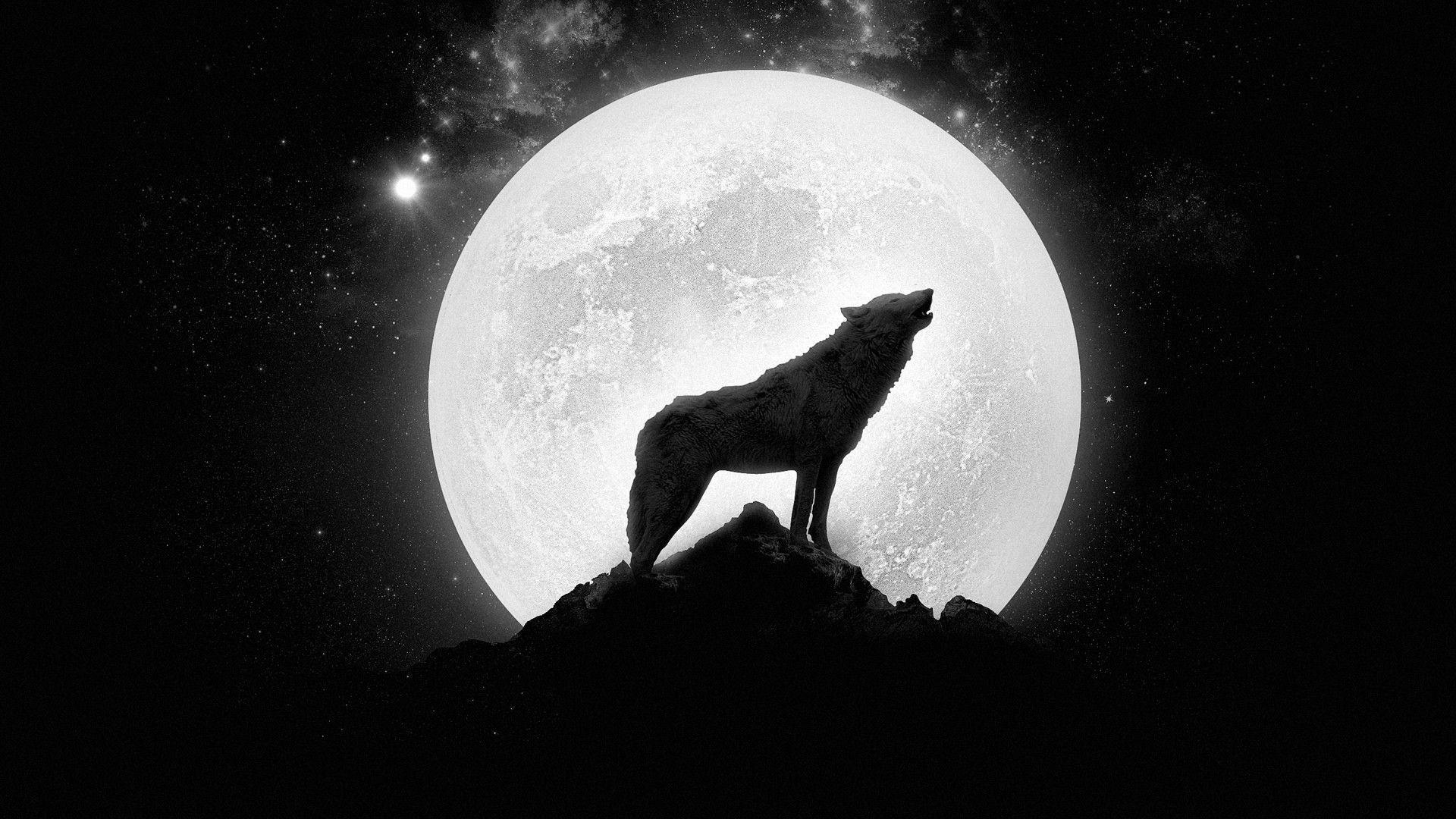 Blood Moon Wolf Wallpapers Top Free Blood Moon Wolf Backgrounds