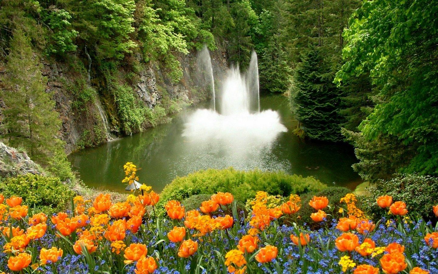 Zen Fountain Wallpapers Top Free Zen Fountain Backgrounds