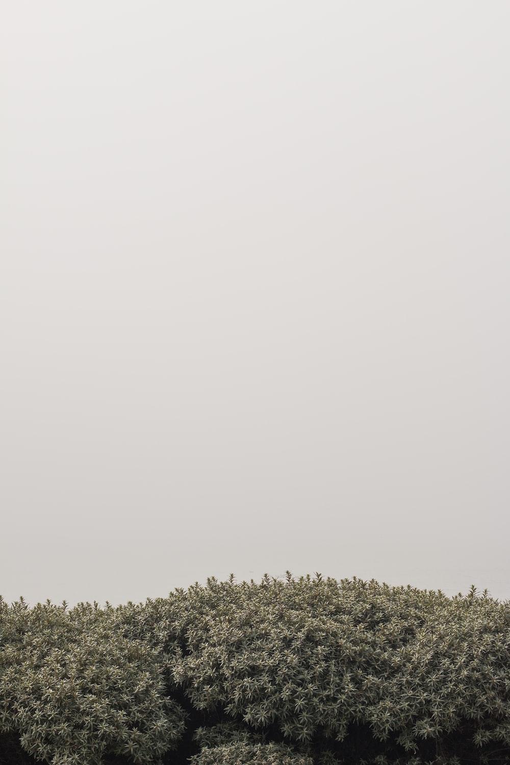 iPhone XR Minimalist Wallpapers Top Free iPhone XR Minimalist