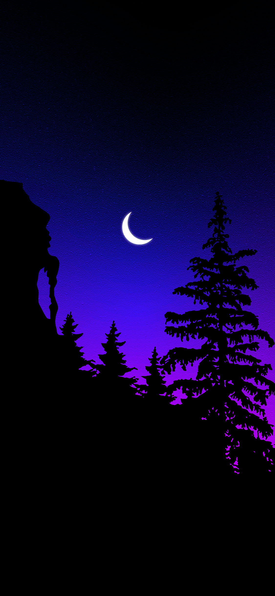 Beautiful Night Forest Wallpapers Top Free Beautiful Night Forest