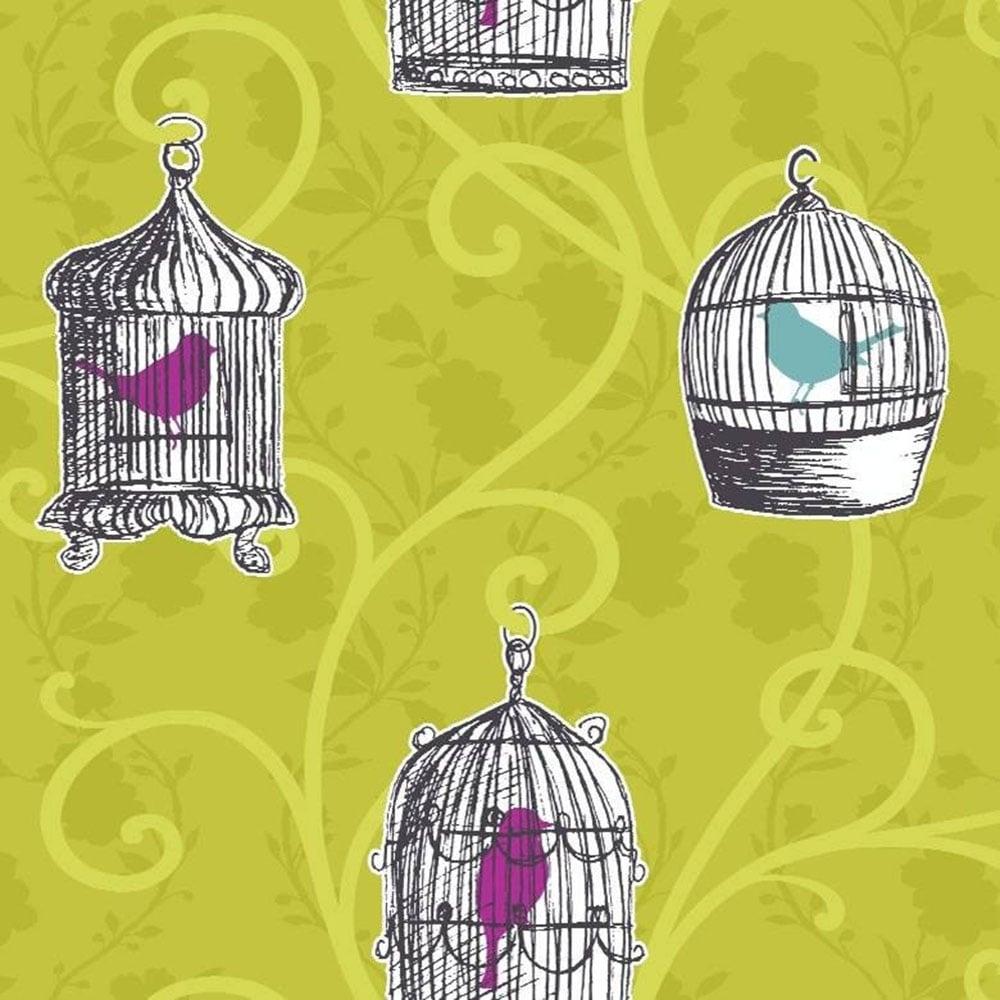Bird Cage Wallpapers Top Free Bird Cage Backgrounds WallpaperAccess