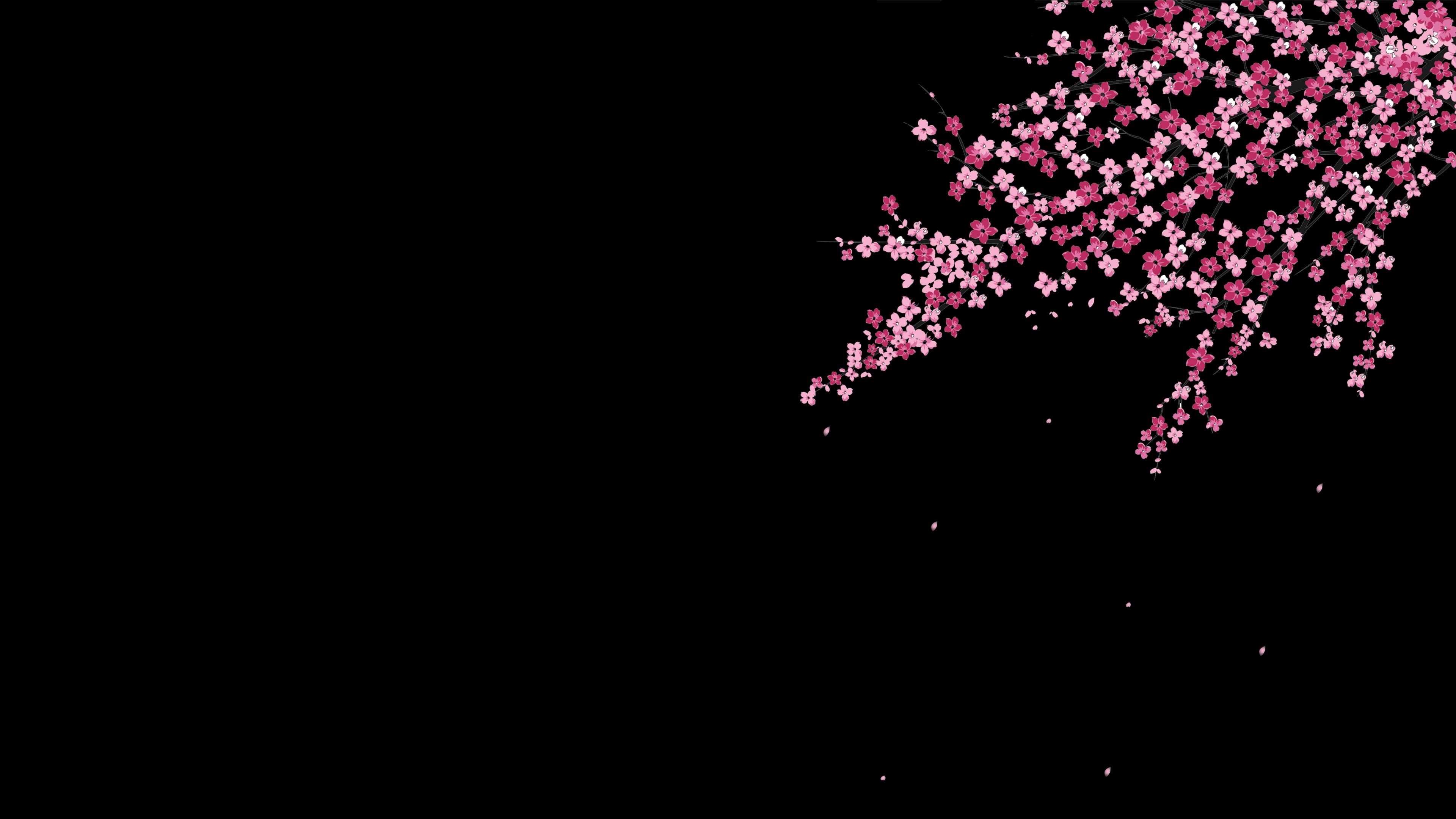 Black Sakura Wallpapers Top Free Black Sakura Backgrounds