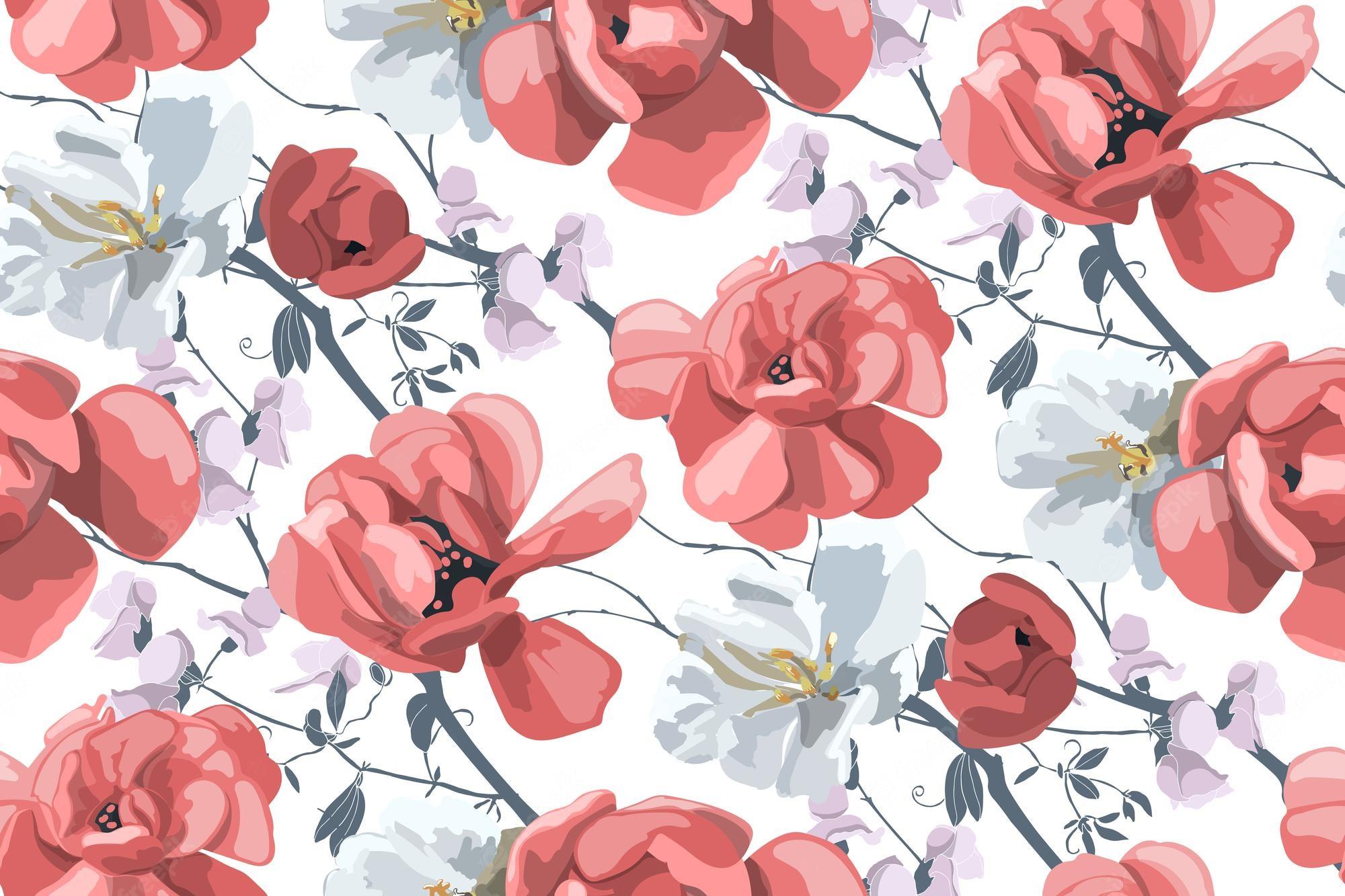 Red and White Floral Wallpapers Top Free Red and White Floral