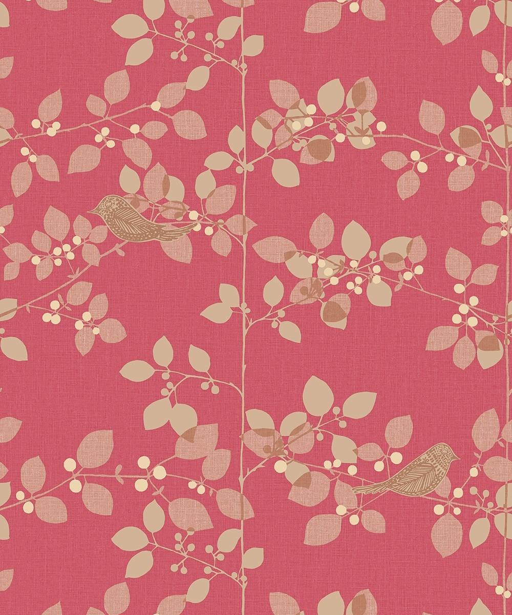 Red and White Floral Wallpapers Top Free Red and White Floral