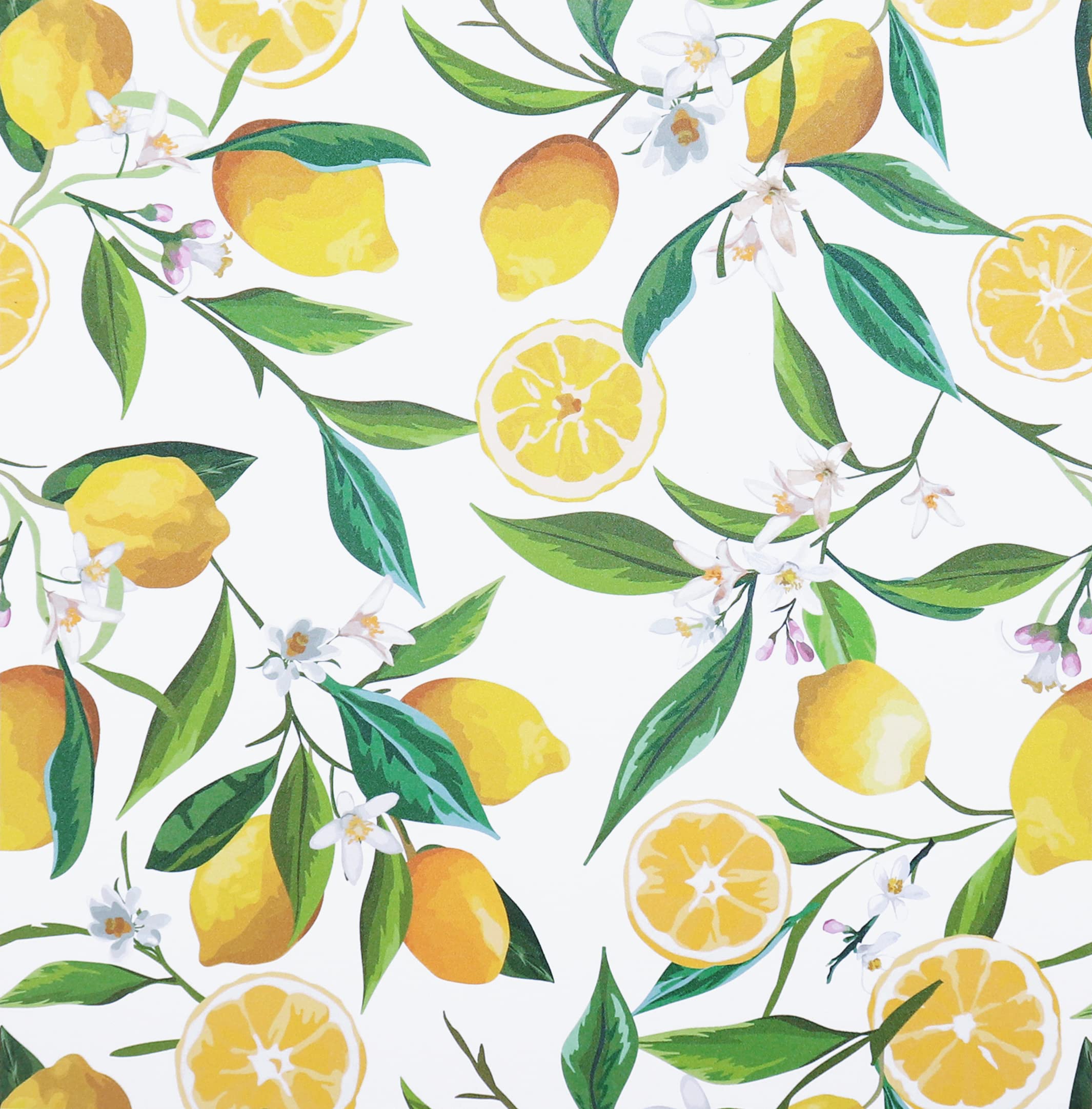 Lemon Art Wallpapers Top Free Lemon Art Backgrounds WallpaperAccess