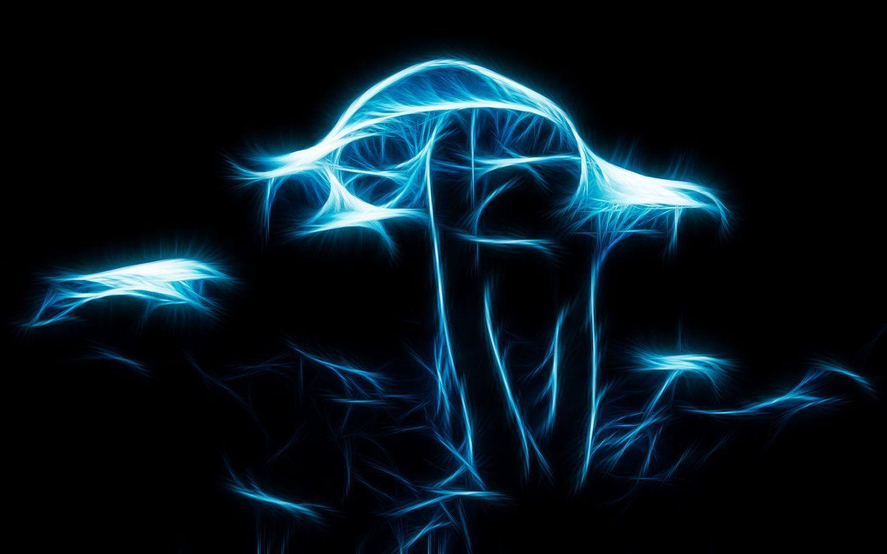 Psychedelic Mushroom Wallpapers Top Free Psychedelic Mushroom