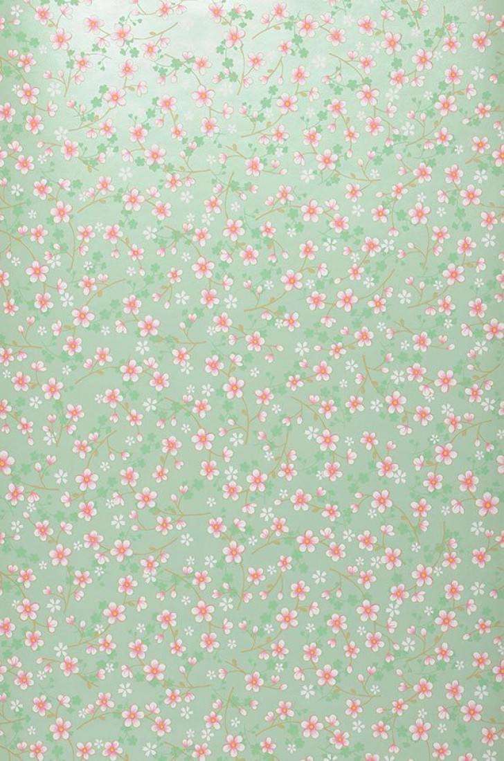 Pastel Green Wallpapers Top Free Pastel Green Backgrounds