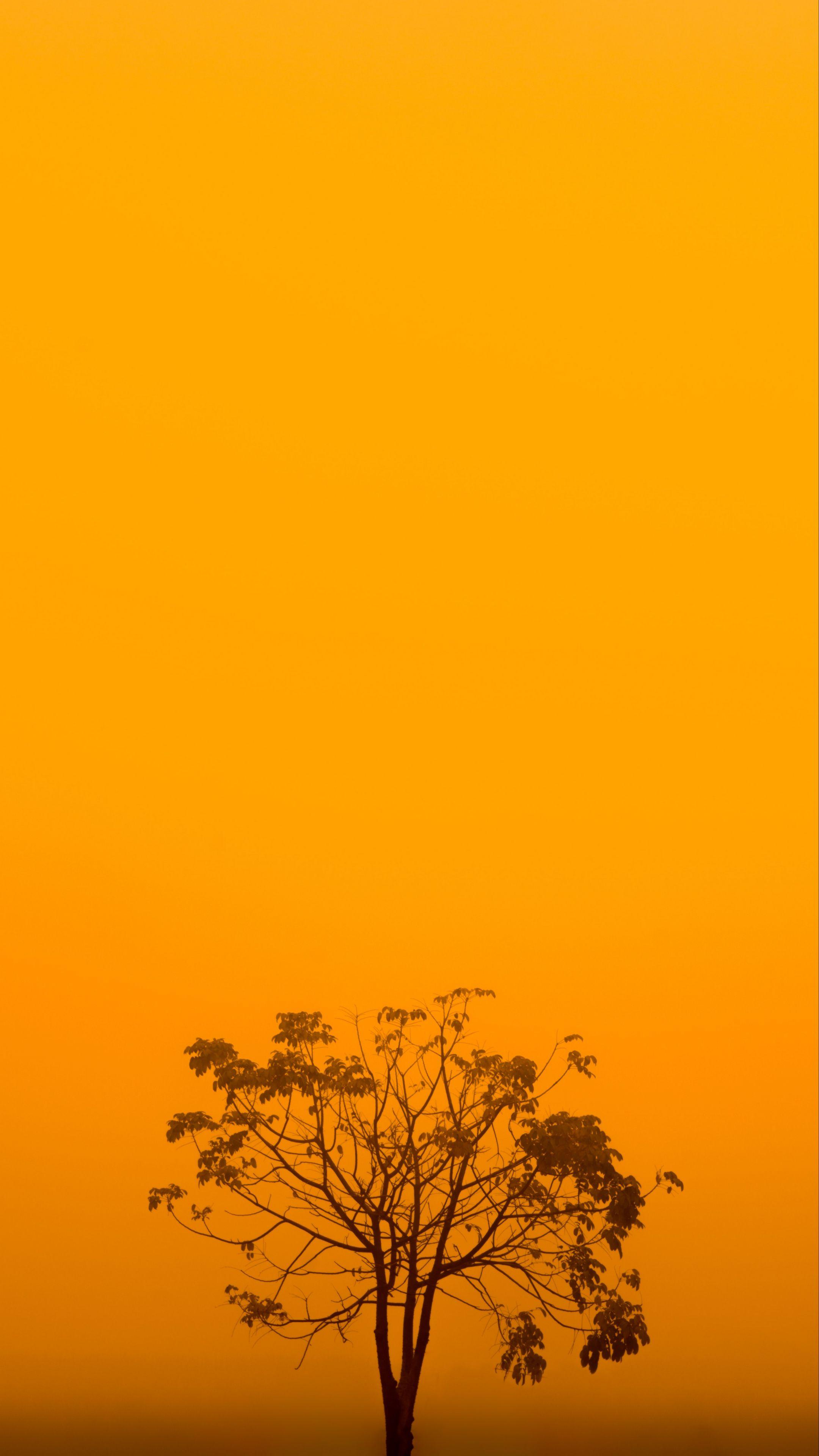 Yellow and Orange Aesthetic Wallpapers Top Free Yellow and Orange