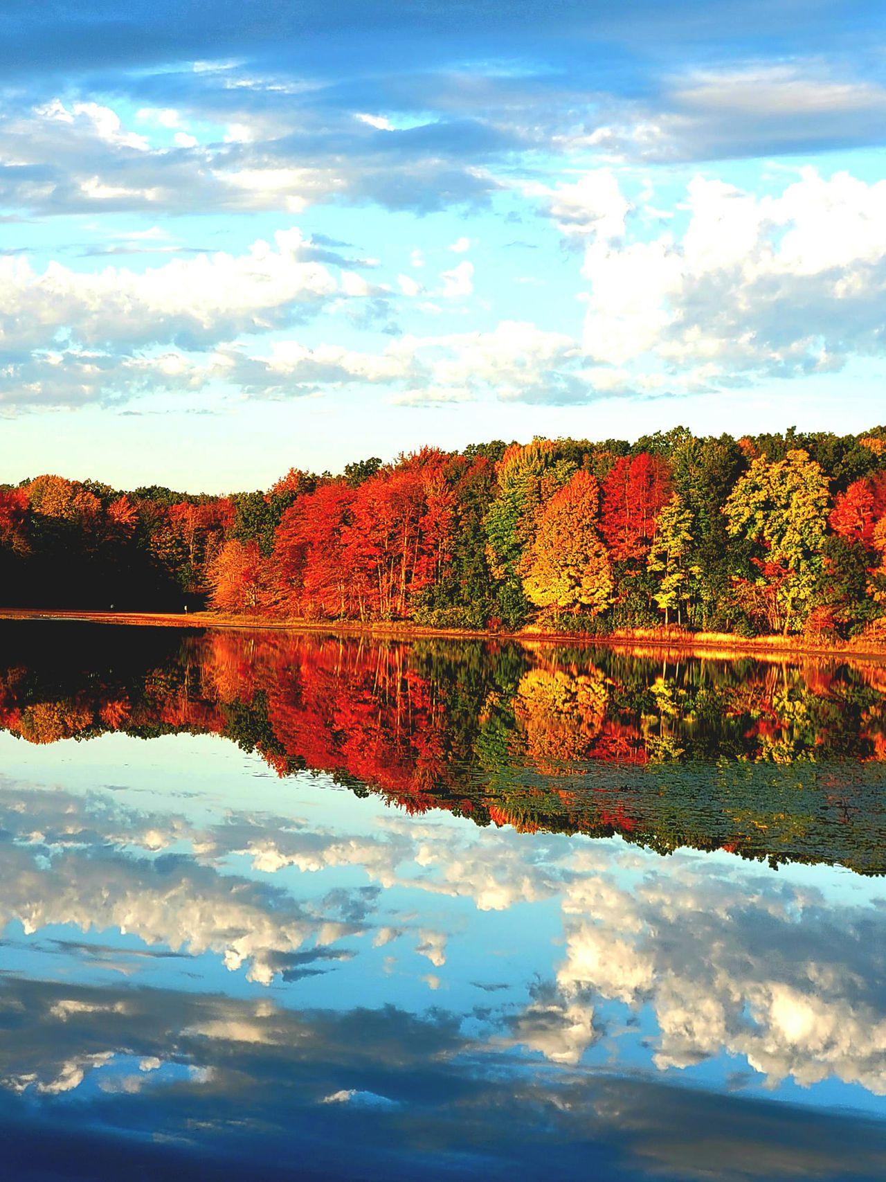 Michigan Autumn Wallpapers Top Free Michigan Autumn Backgrounds