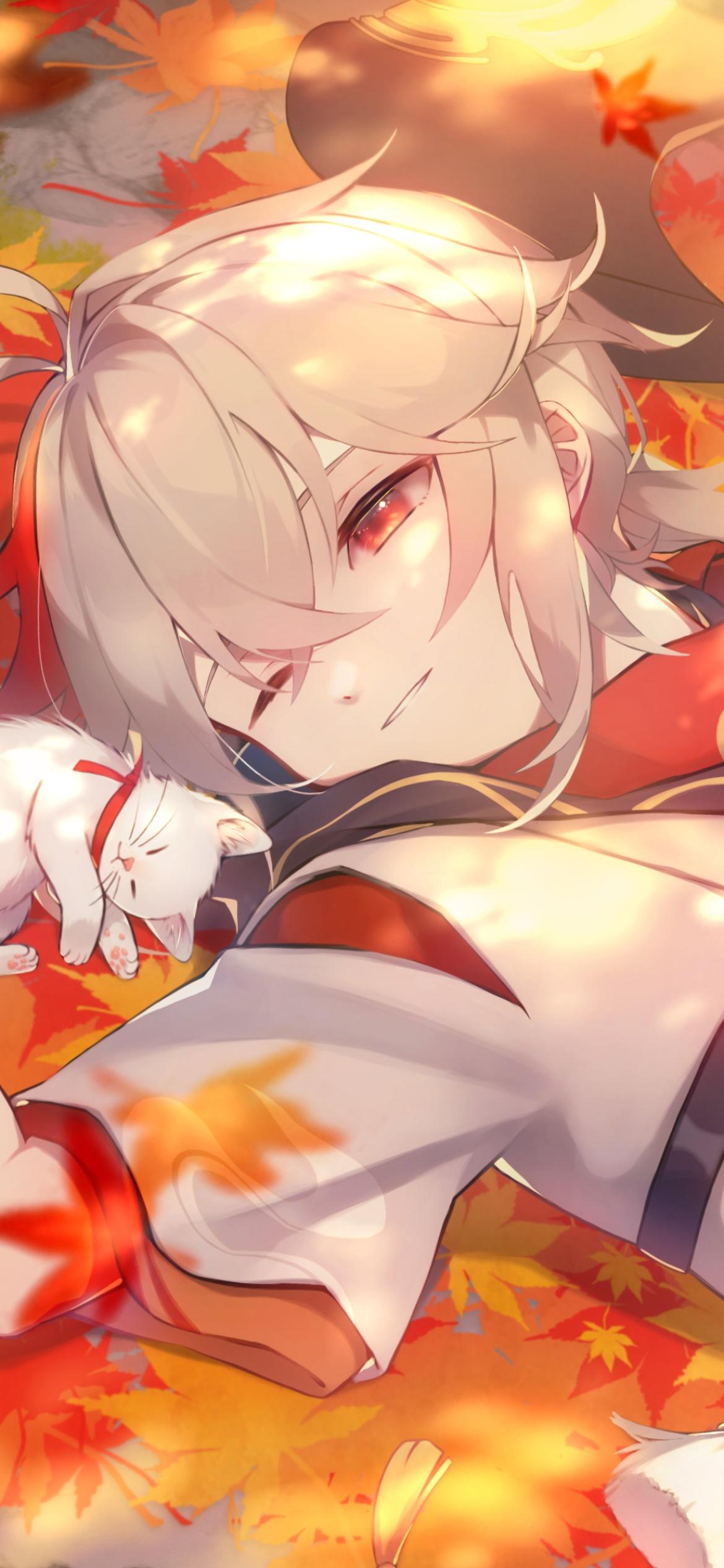 Kaedehara Kazuha Wallpapers Top Free Kaedehara Kazuha Backgrounds