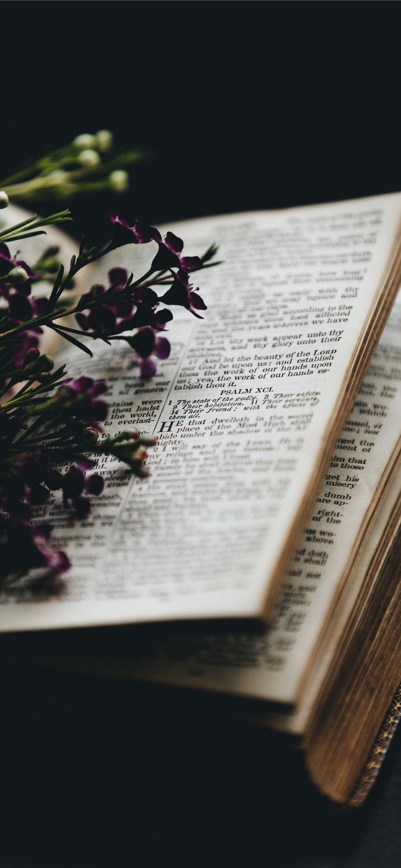 Flowers and Book Wallpapers Top Free Flowers and Book Backgrounds