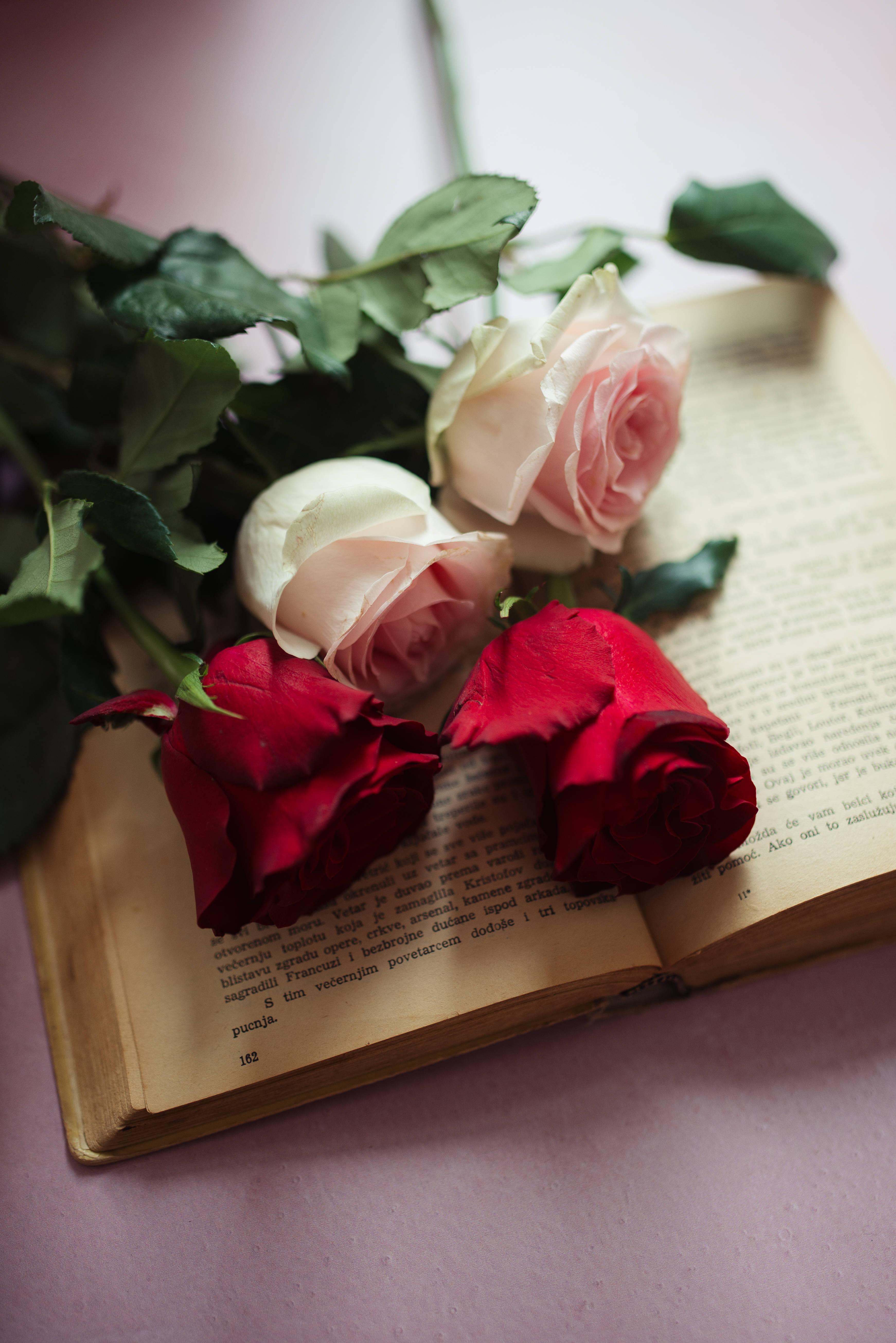 Flowers and Book Wallpapers Top Free Flowers and Book Backgrounds