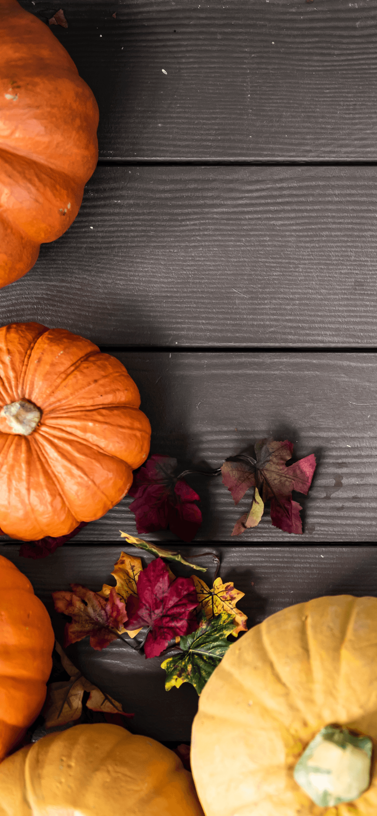 Best Thanksgiving iPhone Wallpapers Viralhub24