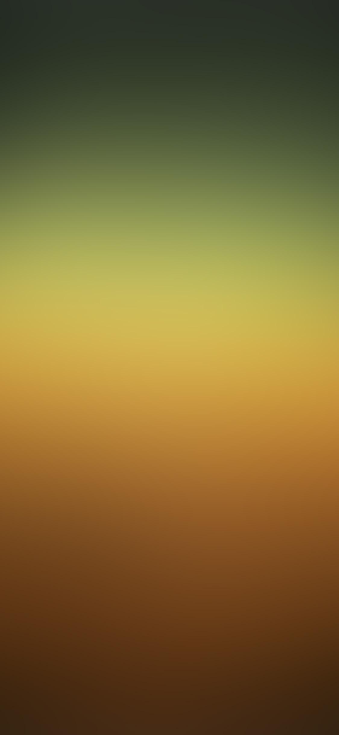 Orange and Green iPhone Wallpapers Top Free Orange and Green iPhone