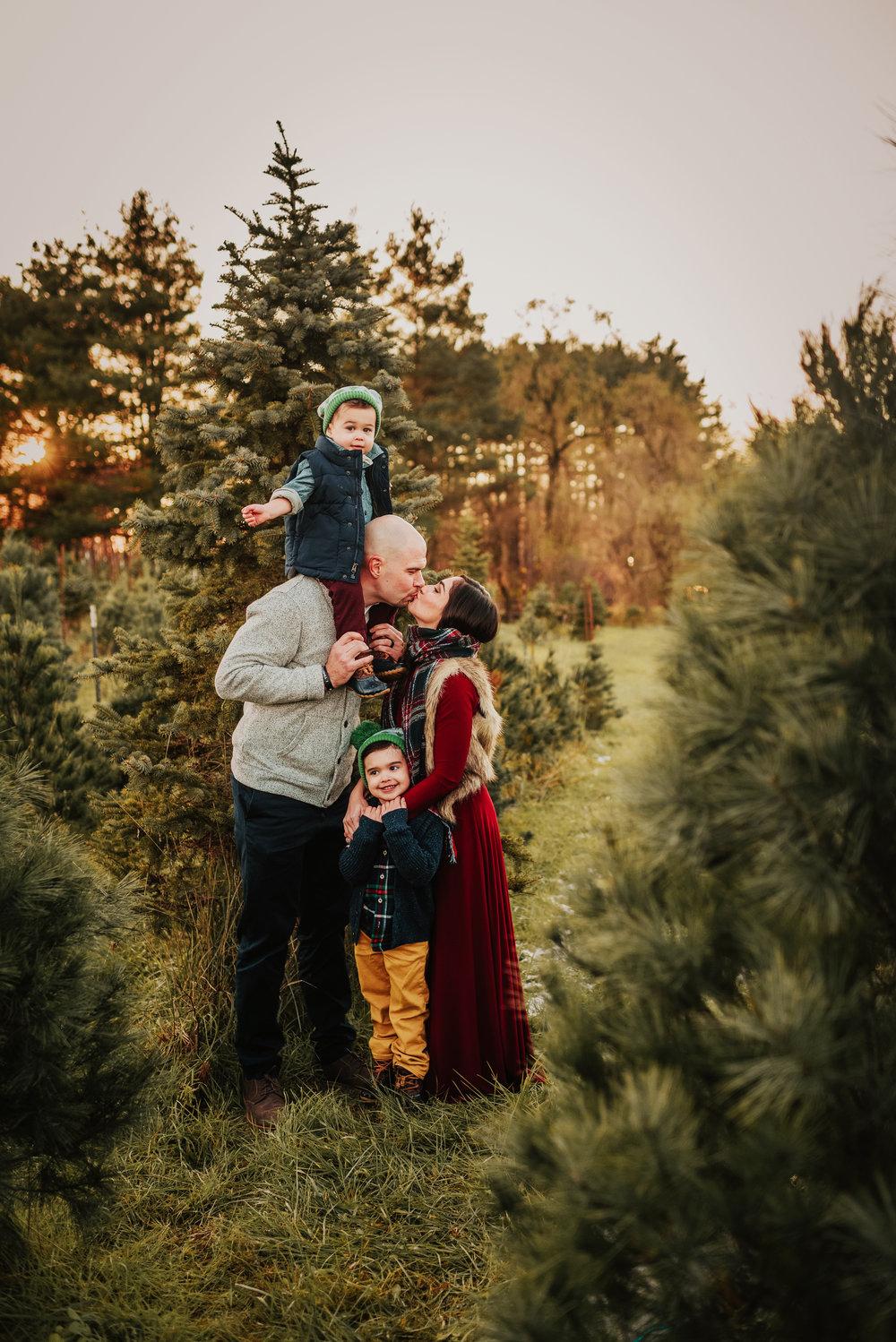 Christmas Tree Farm Wallpapers Top Free Christmas Tree Farm