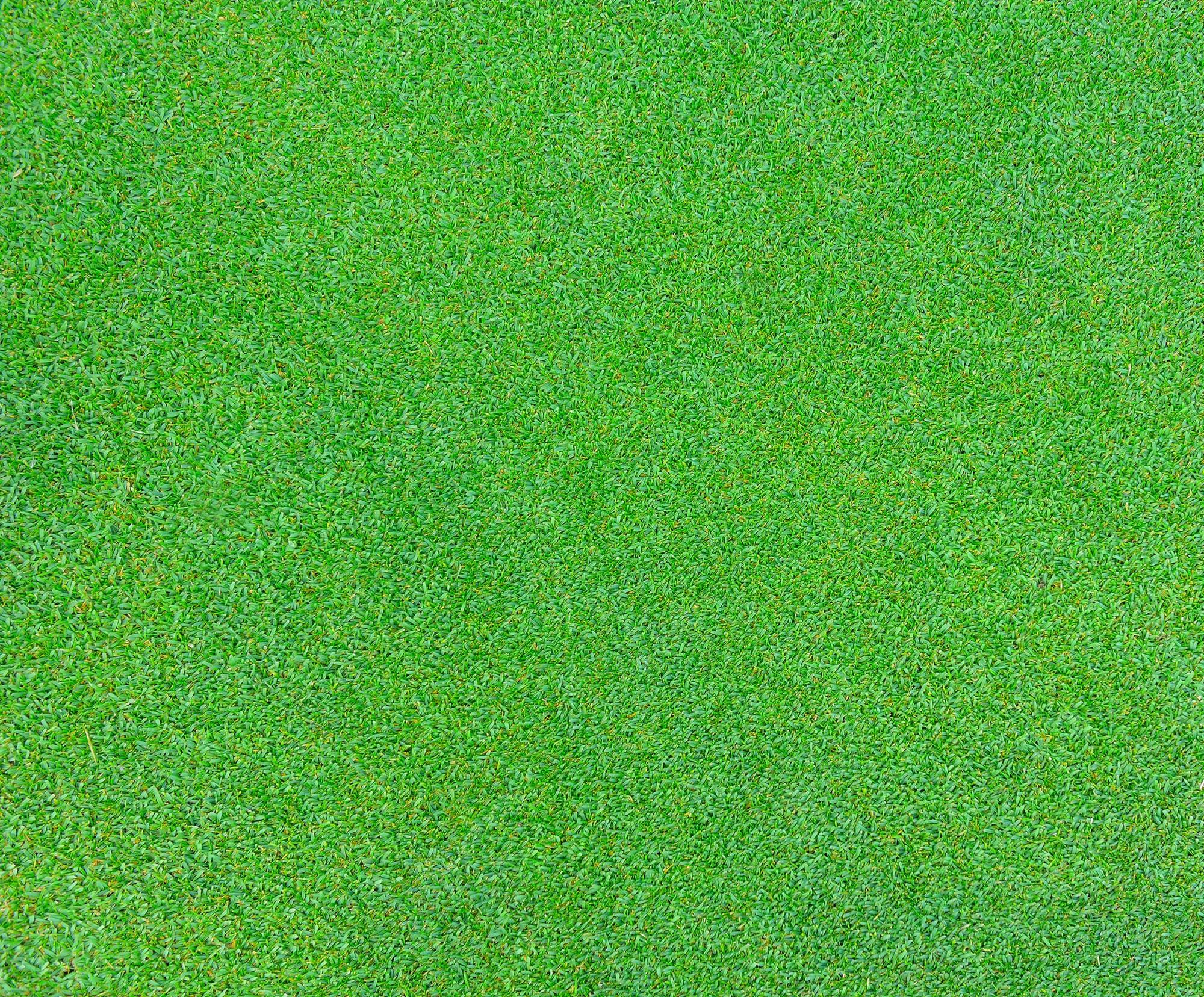 Grass Texture Wallpapers Top Free Grass Texture Backgrounds