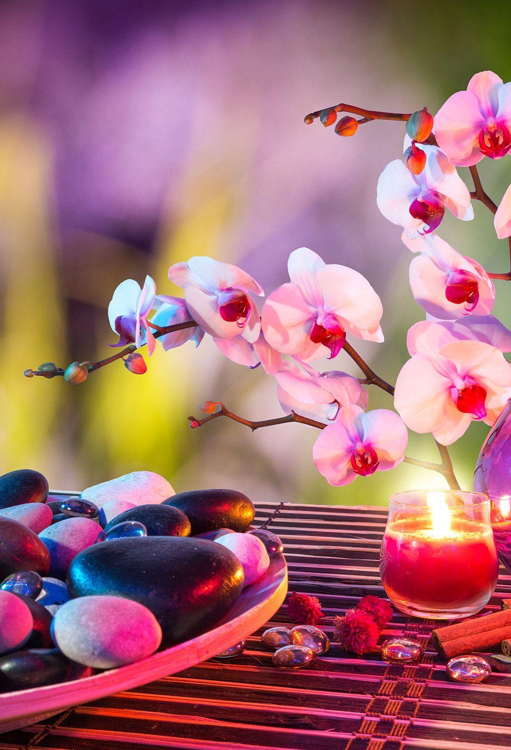 Zen Spring Wallpapers Top Free Zen Spring Backgrounds WallpaperAccess
