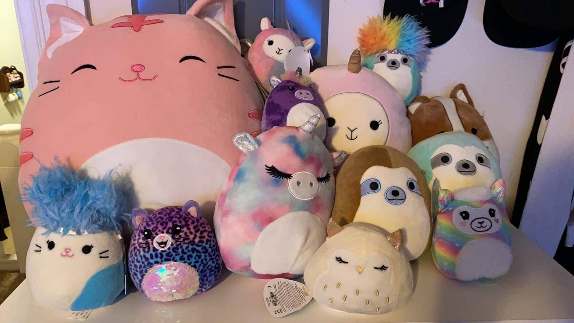 Squishmallows Wallpapers Top Free Squishmallows Backgrounds