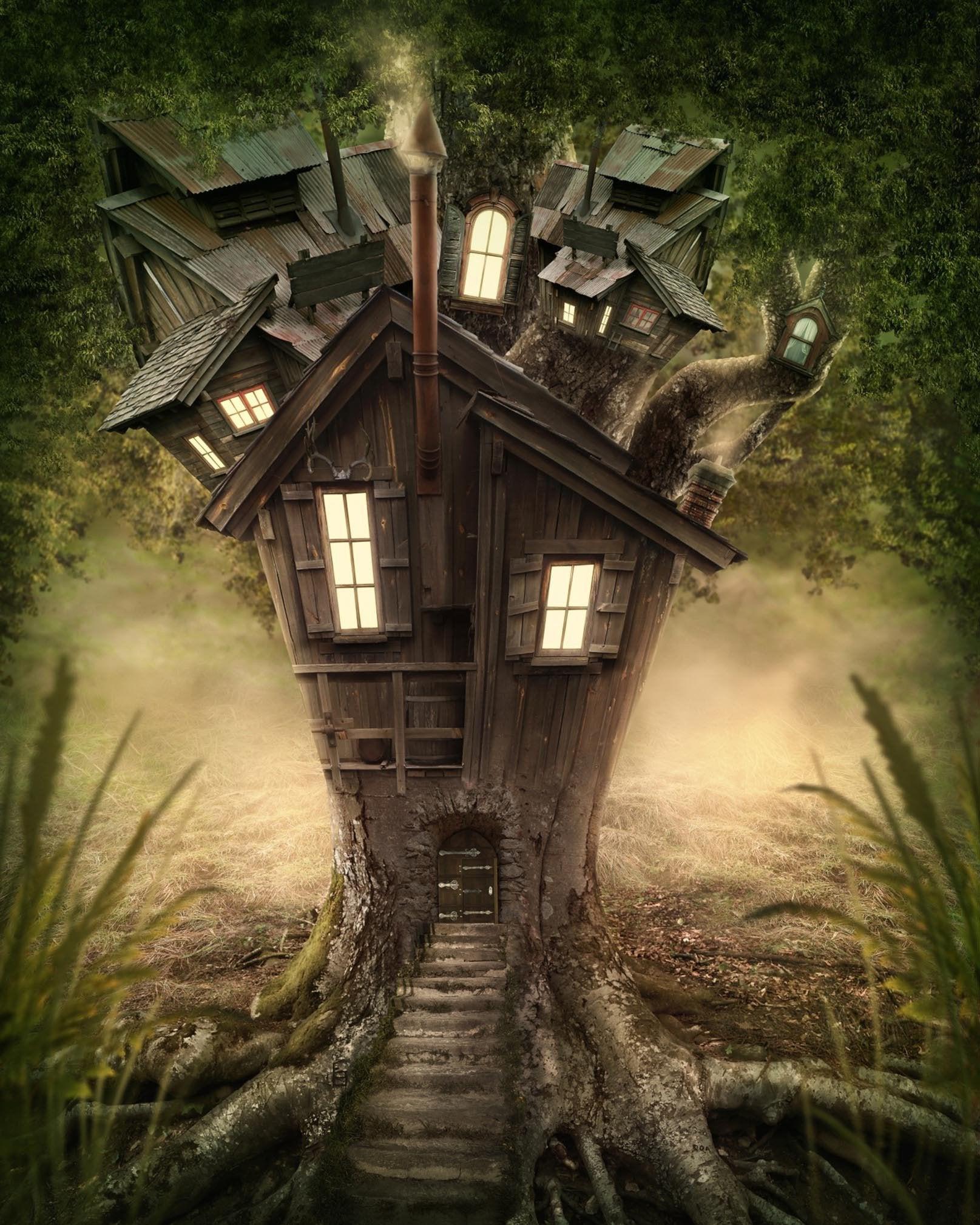 Magic Tree House Wallpapers Top Free Magic Tree House Backgrounds
