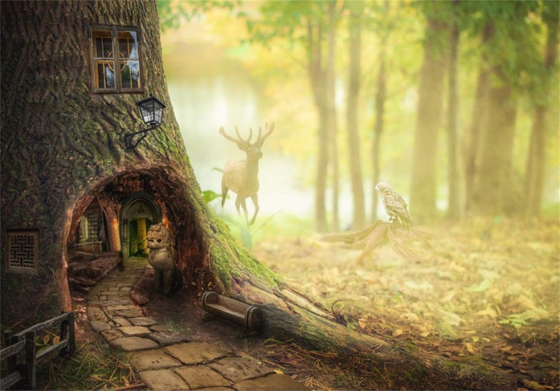 Magic Tree House Wallpapers Top Free Magic Tree House Backgrounds