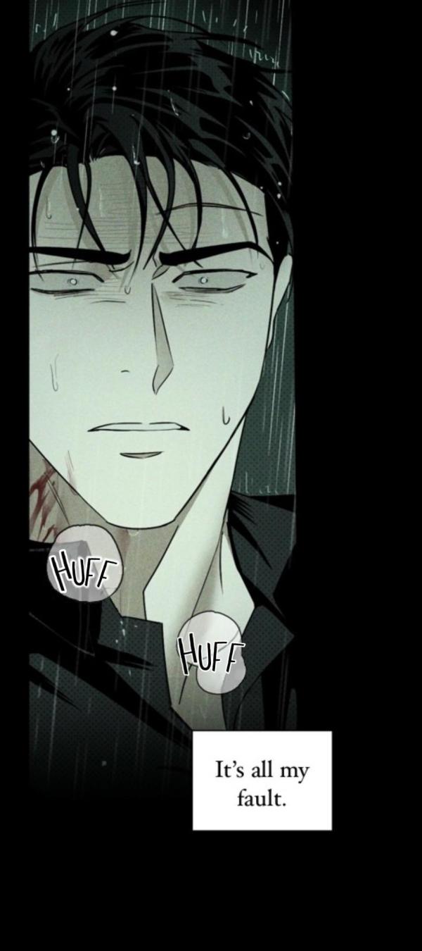 Under the Green Light Wallpapers Top Free Under the Green Light