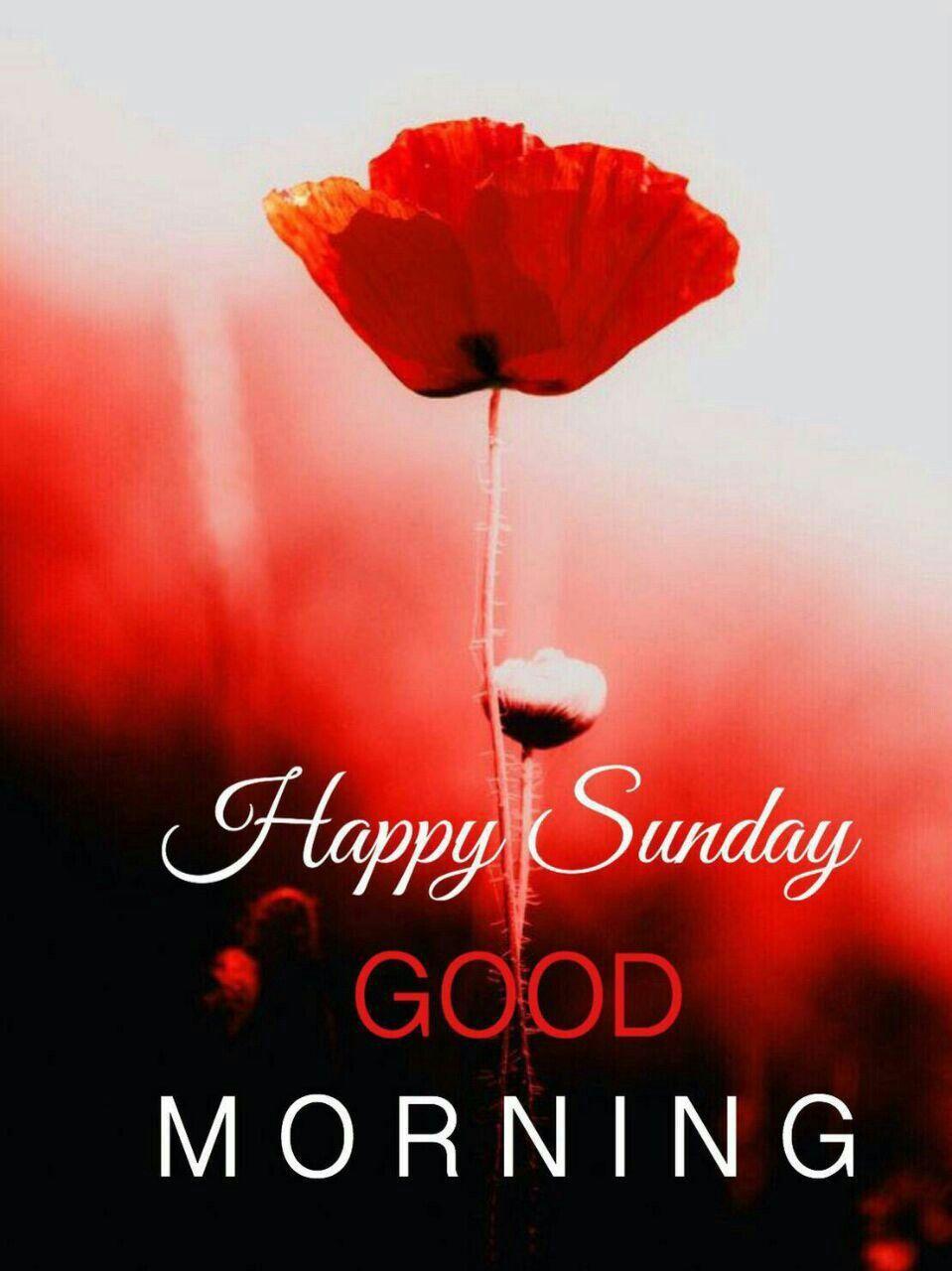 Happy Sunday Wallpapers Top Free Happy Sunday Backgrounds