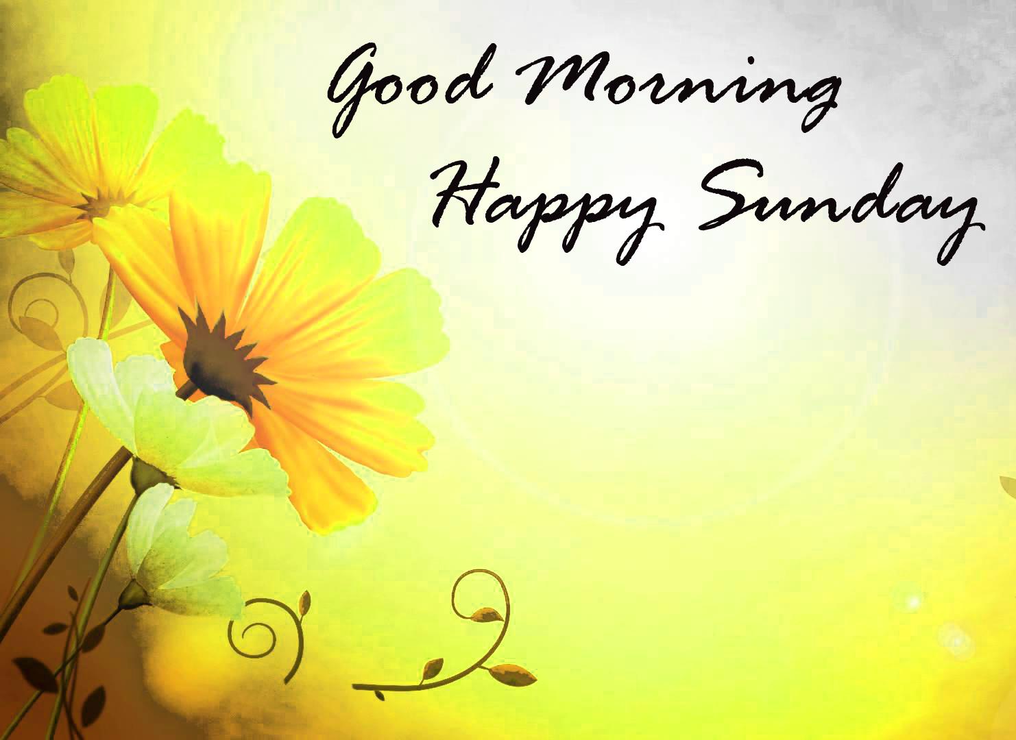 Happy Sunday Wallpapers Top Free Happy Sunday Backgrounds