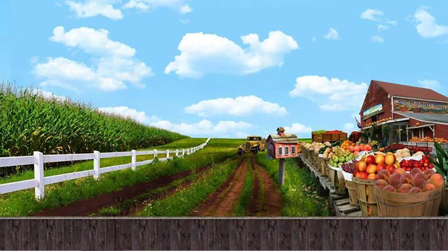 Farmer's Market Wallpapers Top Free Farmer's Market Backgrounds