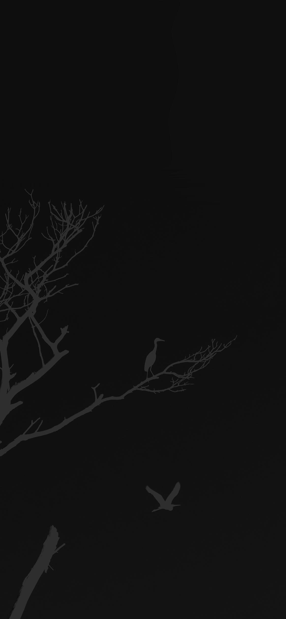 Black Anime iPhone Wallpapers Top Free Black Anime iPhone Backgrounds