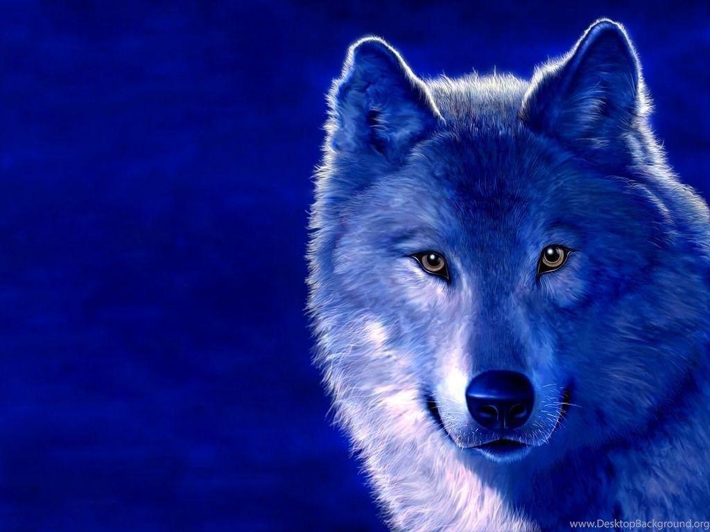 Epic Wolves Wallpapers Top Free Epic Wolves Backgrounds WallpaperAccess