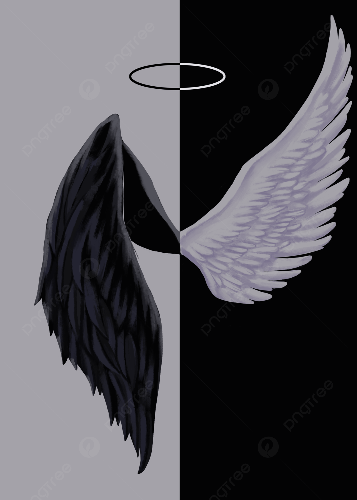 Black and White Wings Wallpapers Top Free Black and White Wings