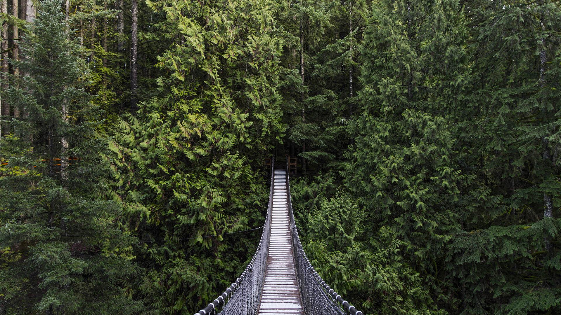 Capilano Suspension Bridge Wallpapers Top Free Capilano Suspension
