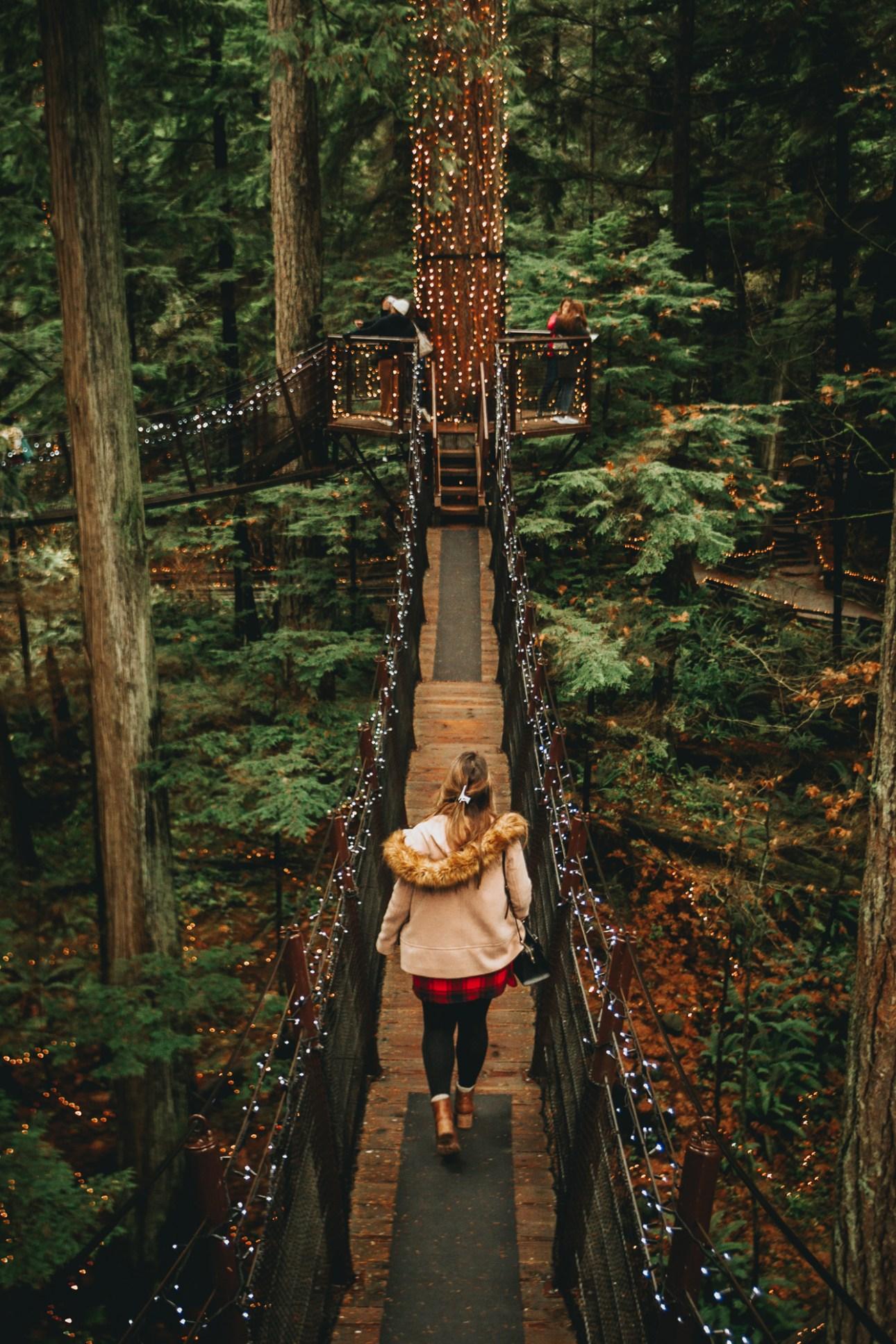 Capilano Suspension Bridge Wallpapers Top Free Capilano Suspension
