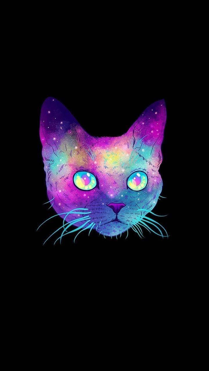 Galaxy Cat Desktop Wallpapers Top Free Galaxy Cat Desktop Backgrounds WallpaperAccess
