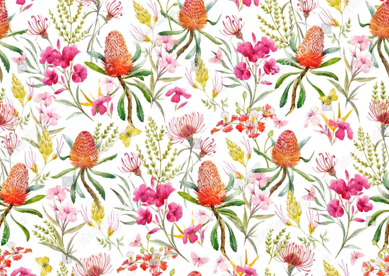 Australian Flowers Wallpapers Top Free Australian Flowers Backgrounds