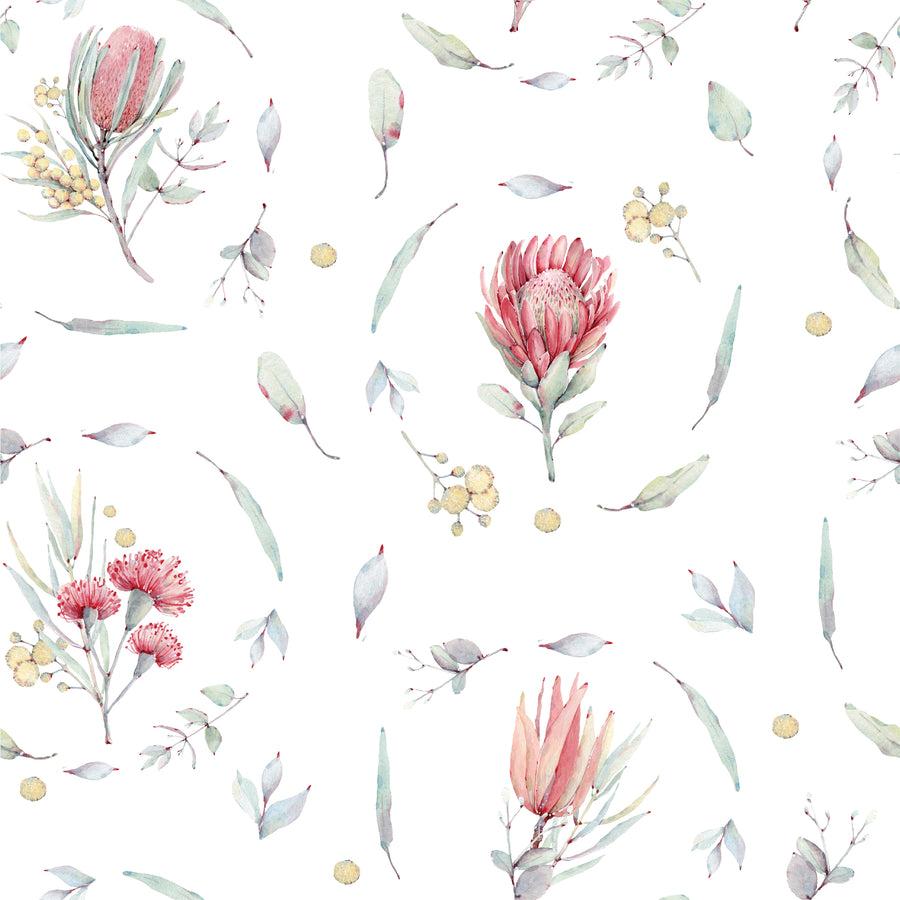 Australian Flowers Wallpapers Top Free Australian Flowers Backgrounds