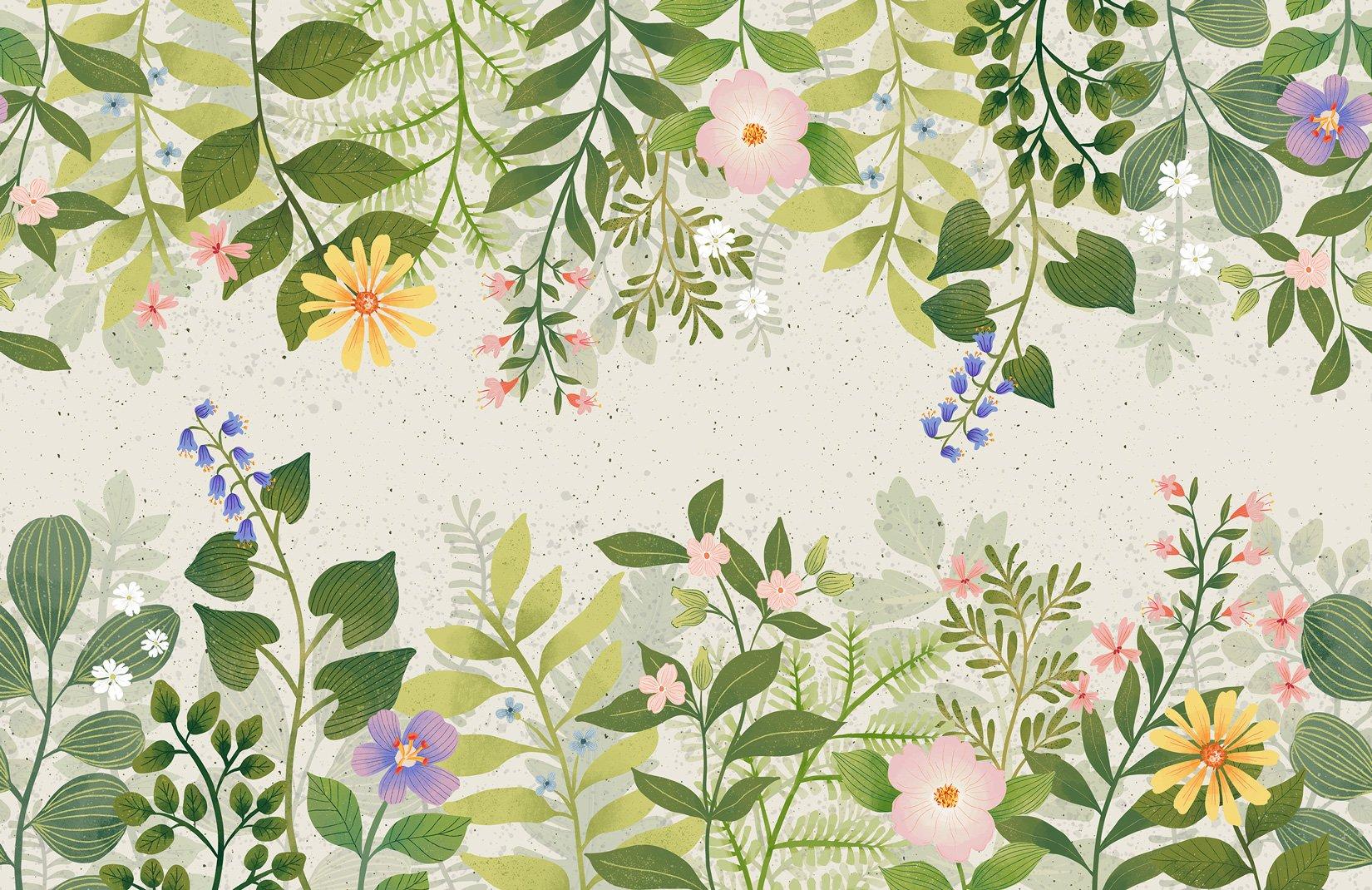 Australian Flowers Wallpapers Top Free Australian Flowers Backgrounds