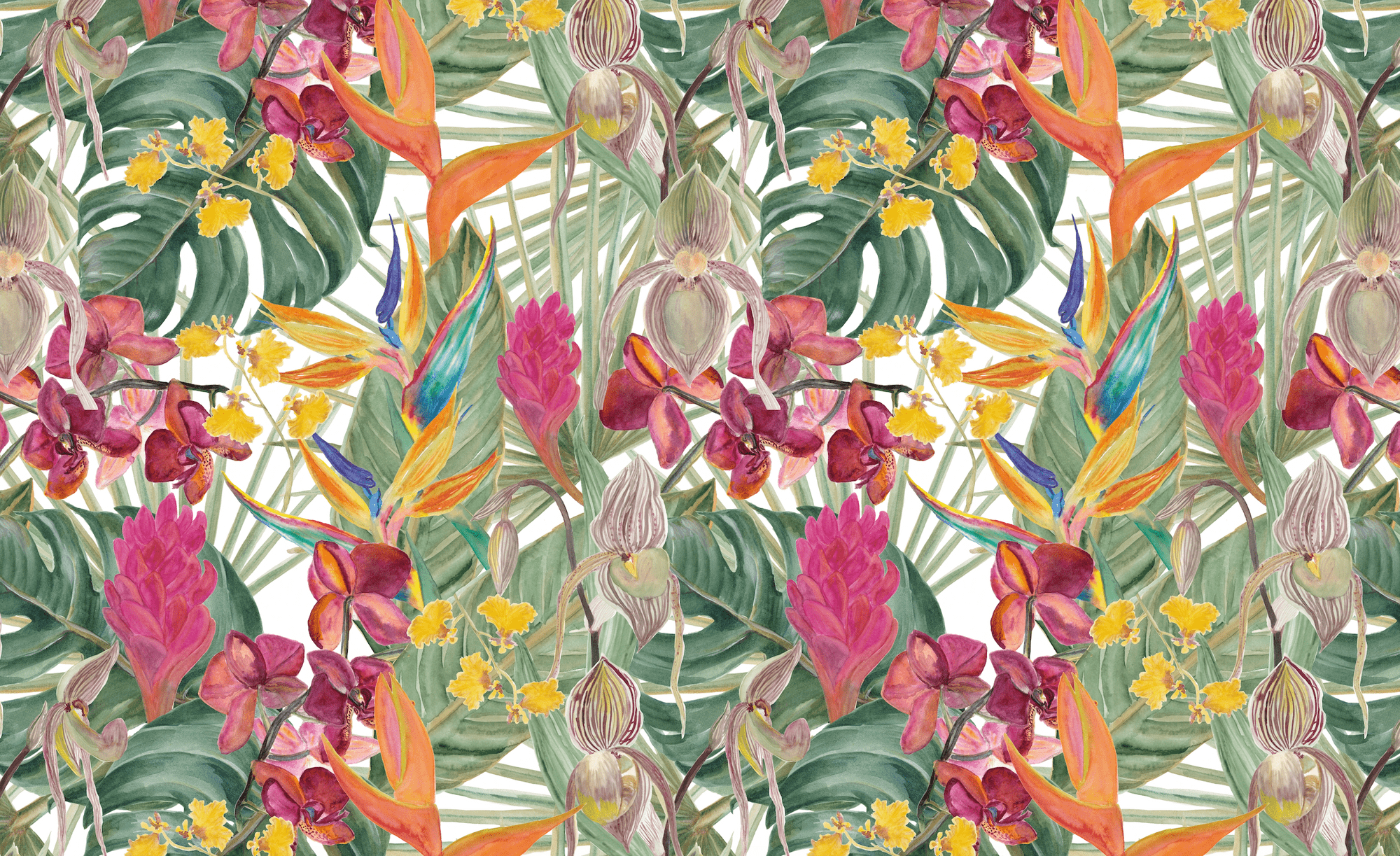 Australian Flowers Wallpapers Top Free Australian Flowers Backgrounds