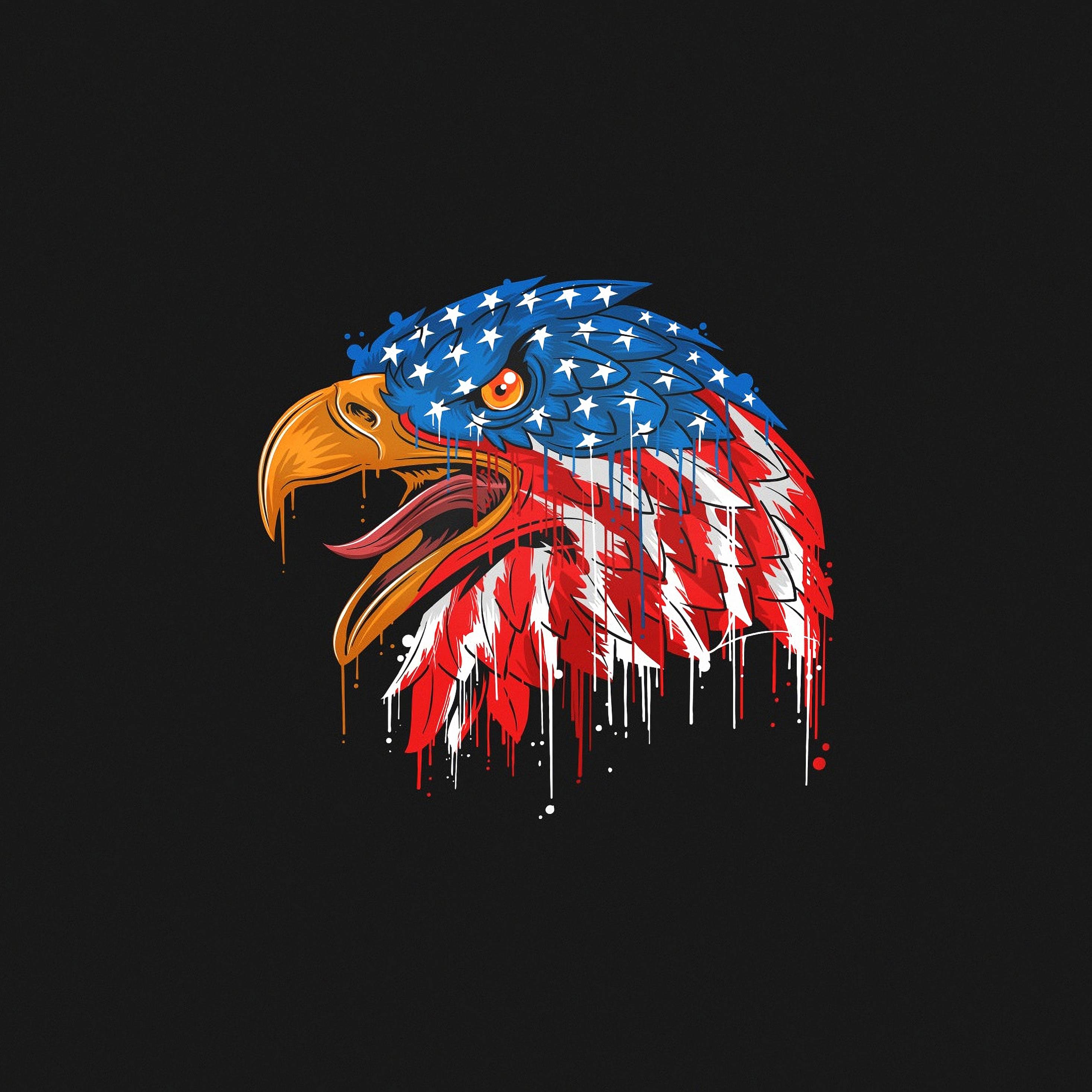 Cool USA Flag Eagle Wallpapers Top Free Cool USA Flag Eagle