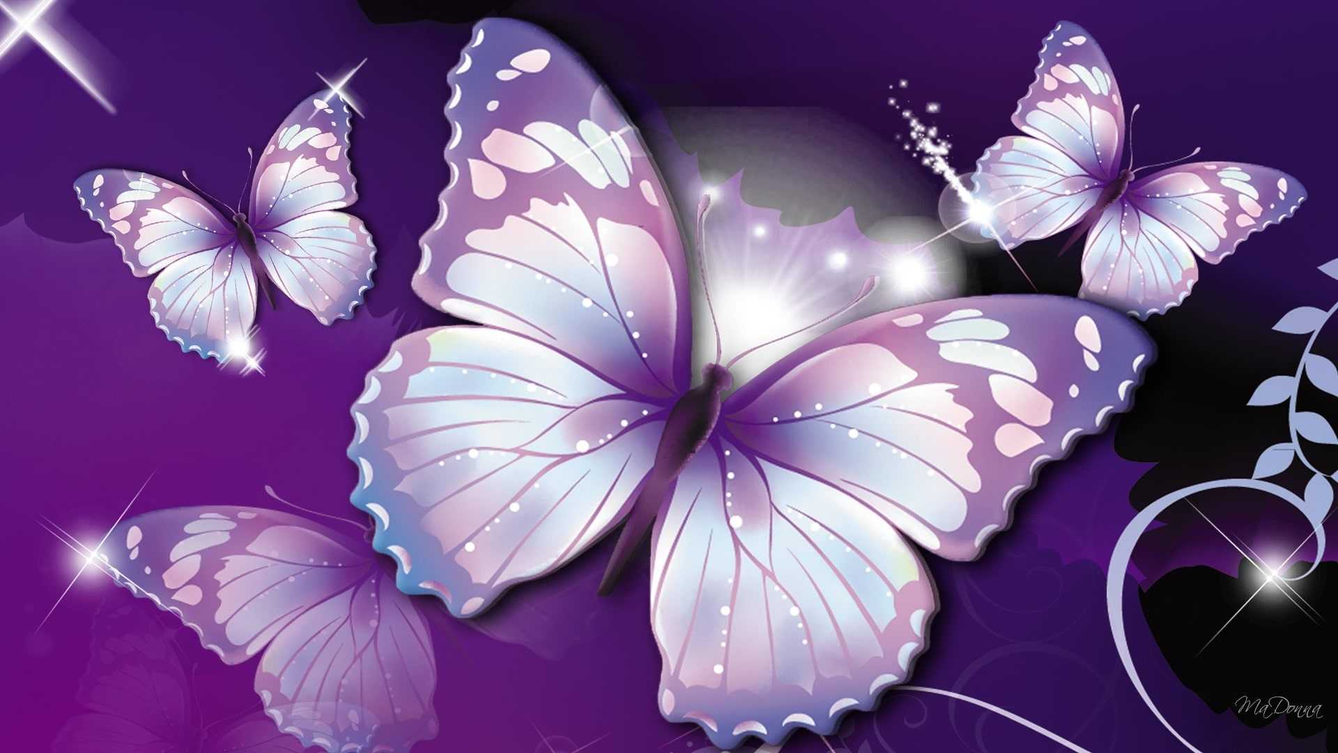 Neon Purple Butterfly Wallpapers Top Free Neon Purple Butterfly