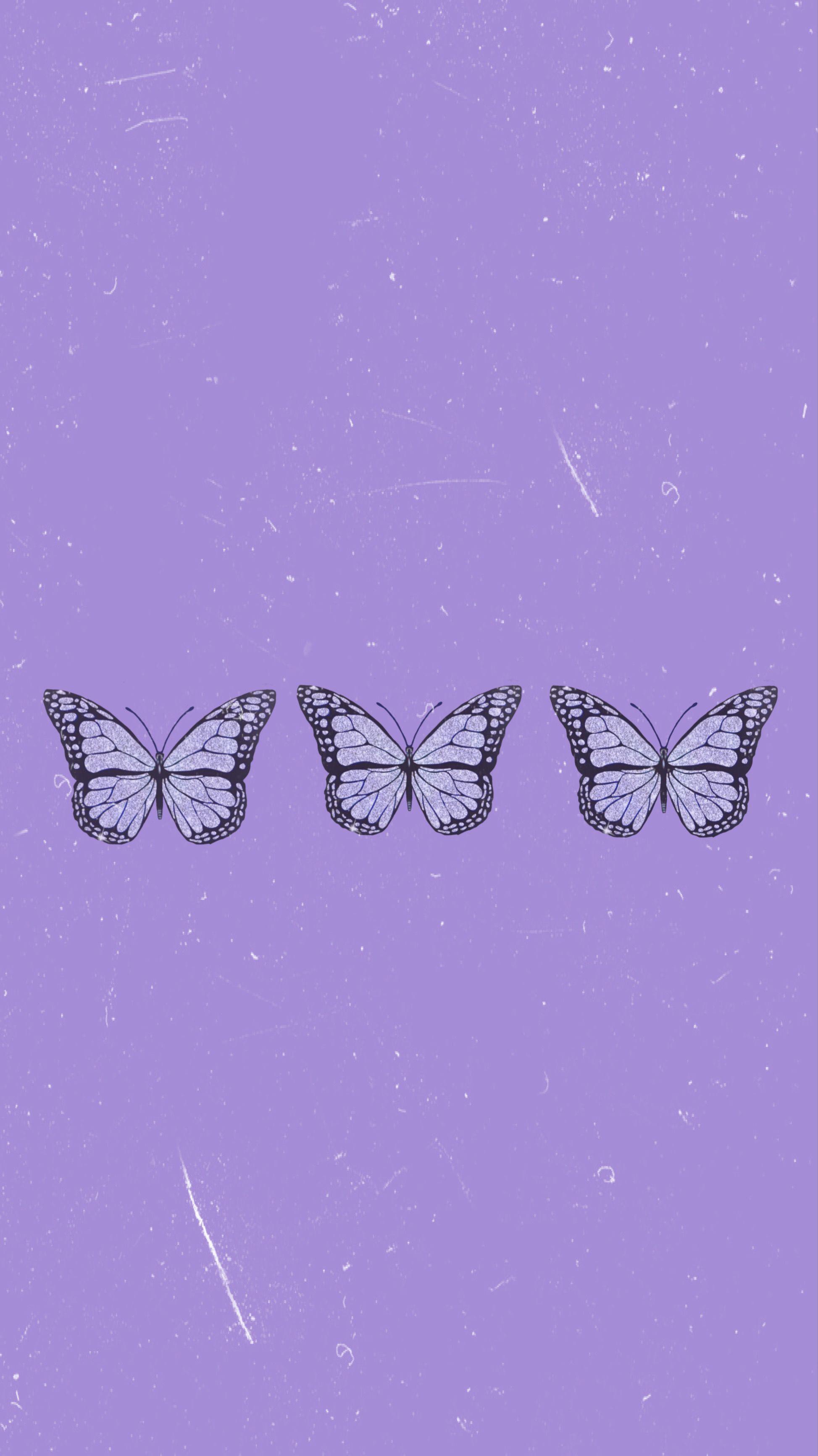 Neon Purple Butterfly Wallpapers Top Free Neon Purple Butterfly