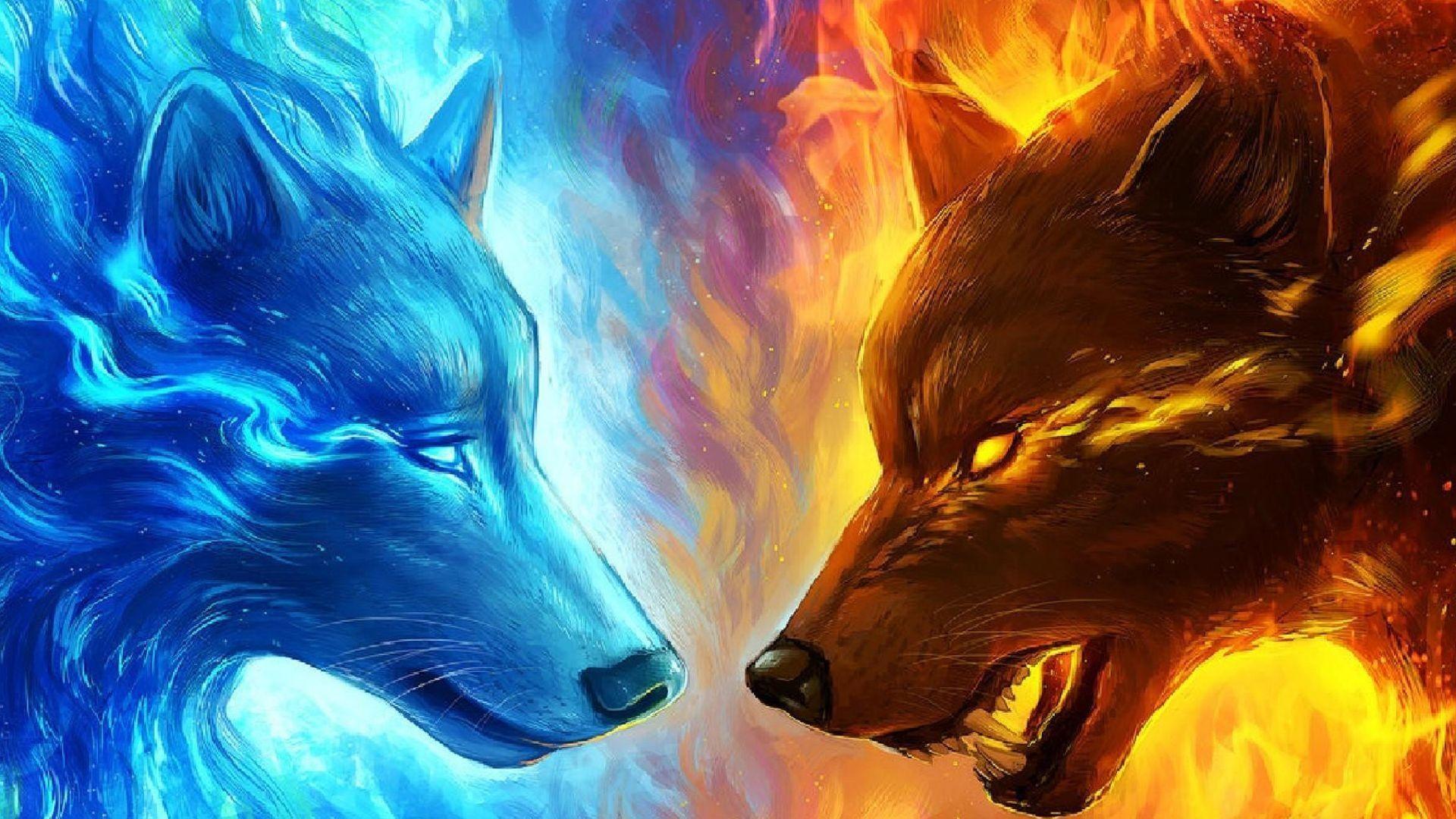 Blue Fox Wallpapers Top Free Blue Fox Backgrounds WallpaperAccess