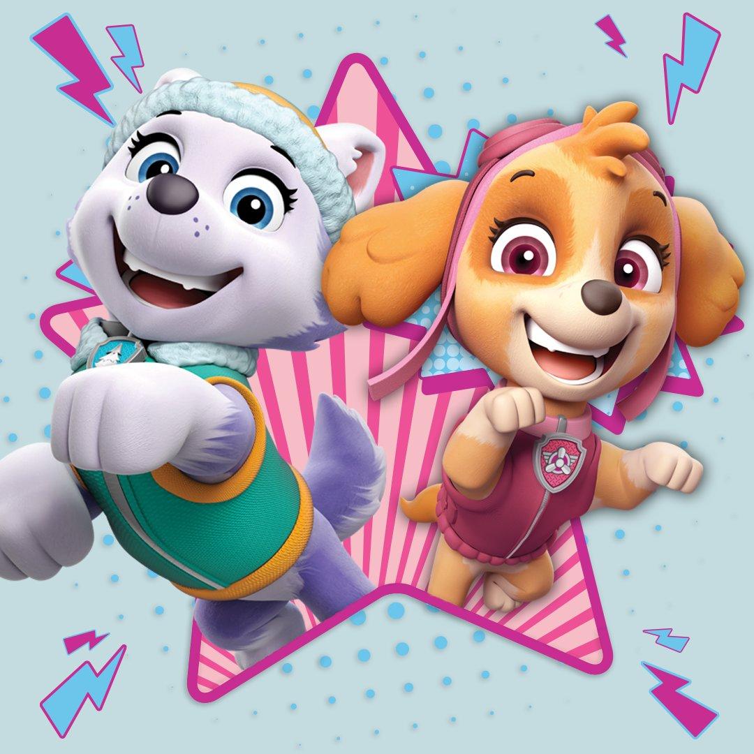 PAW Patrol Girl Wallpapers Top Free PAW Patrol Girl Backgrounds