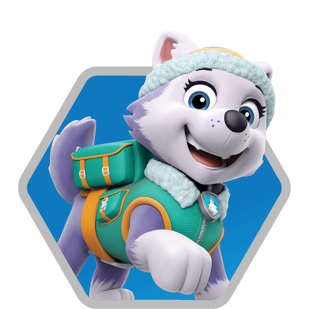 Everest PAW Patrol Wallpapers Top Free Everest PAW Patrol Backgrounds