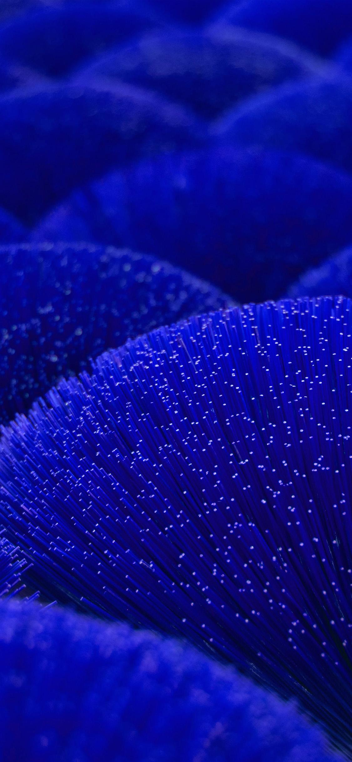 Cobalt Blue Wallpapers Top Free Cobalt Blue Backgrounds WallpaperAccess