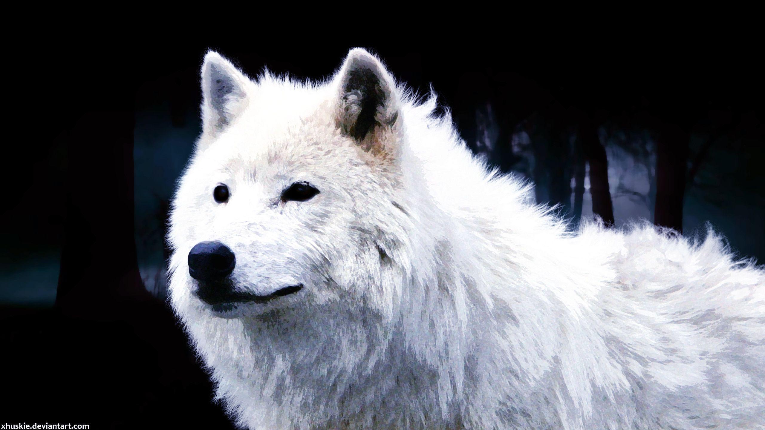 White Wolf iPhone Wallpapers Top Free White Wolf iPhone Backgrounds