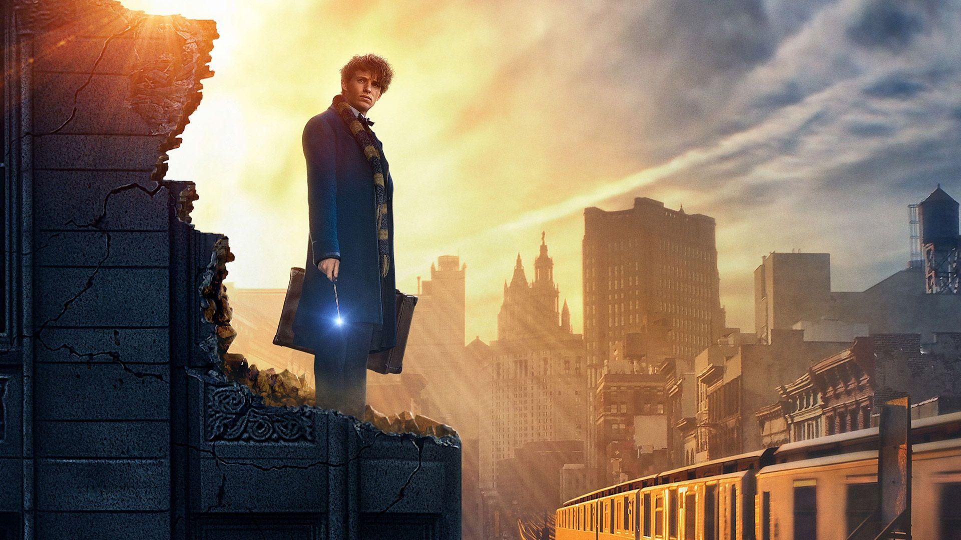 Fantastic Beasts Wallpapers Top Free Fantastic Beasts Backgrounds