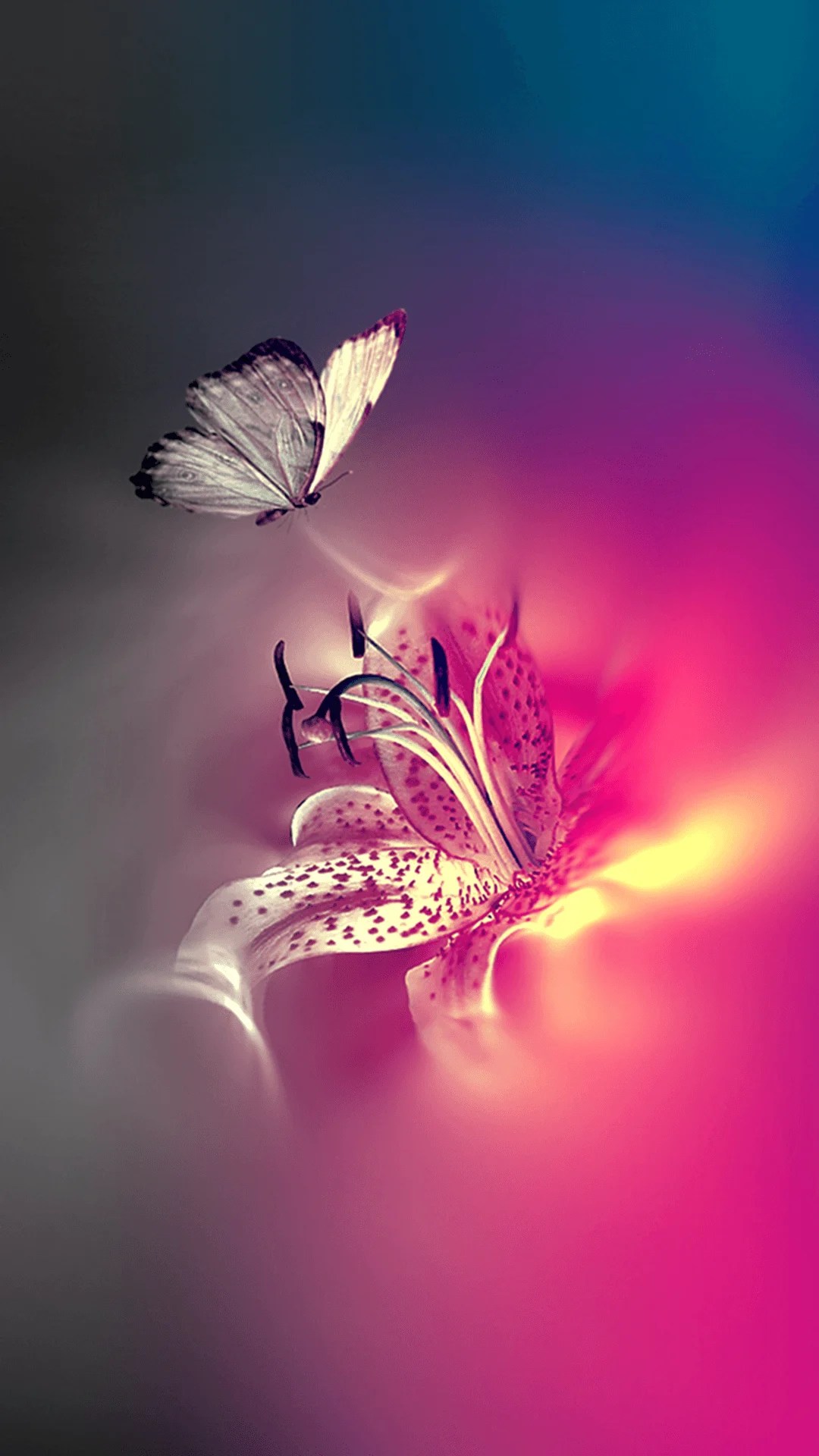 Top 57+ iphone butterfly wallpaper in.cdgdbentre